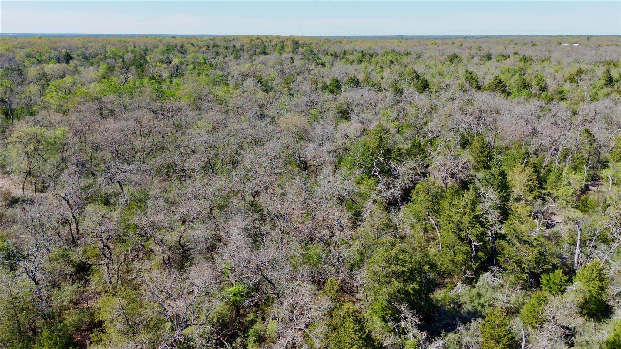 100 PR 617 Rds, Kosse, TX 76652