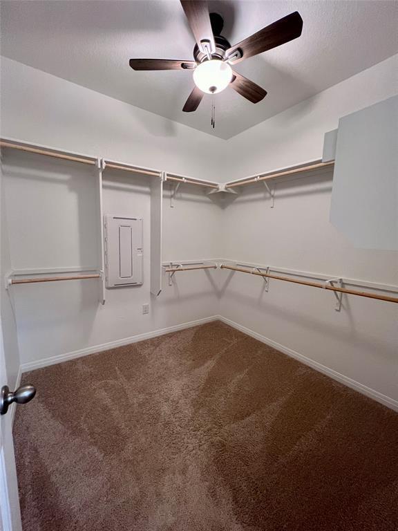 944 Vogel Dr, Georgetown, TX 78626