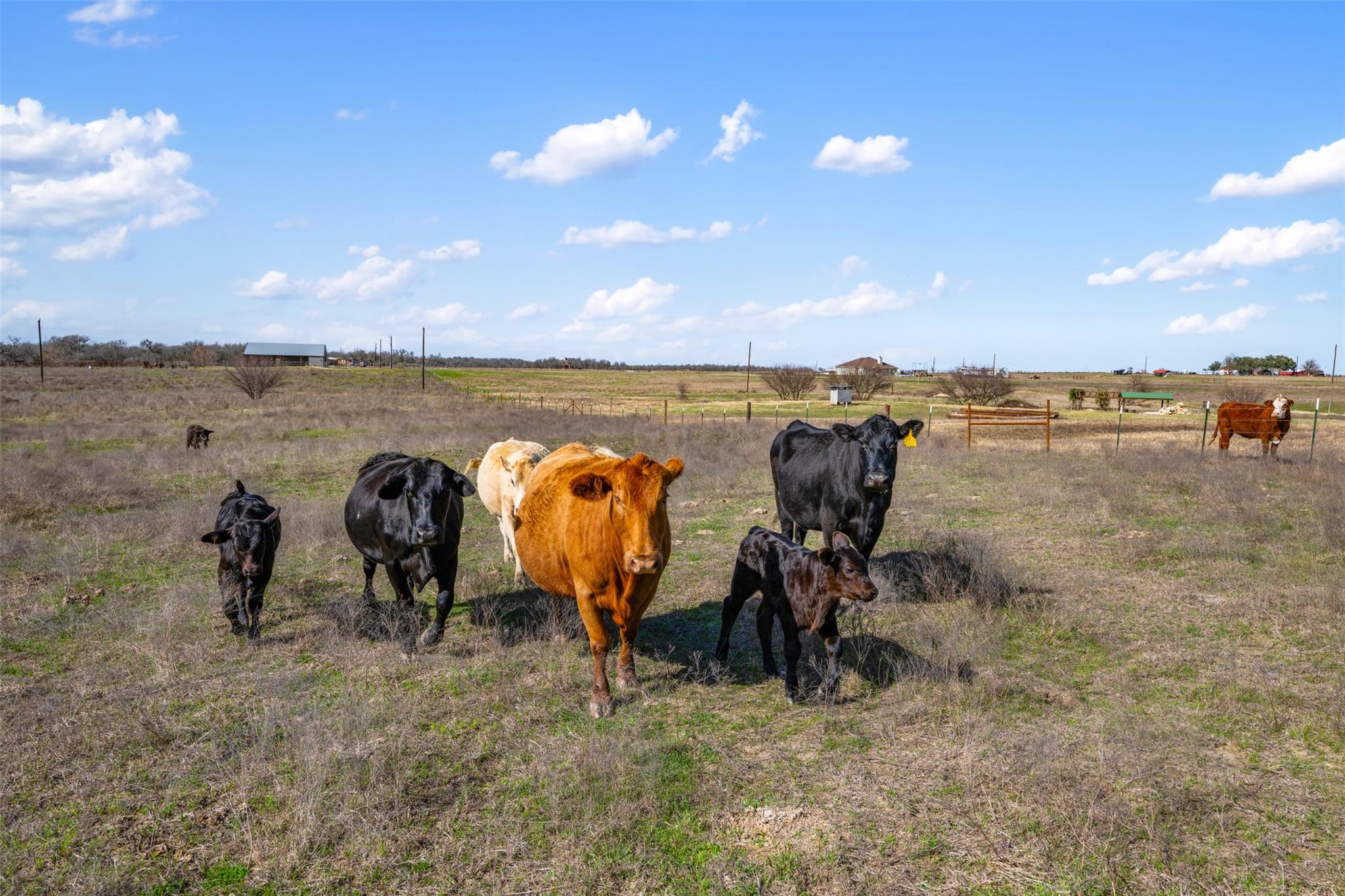 700 County Road 466, Elgin, TX 78621