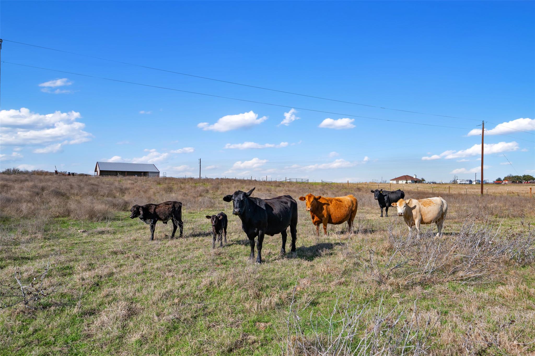 700 County Road 466, Elgin, TX 78621