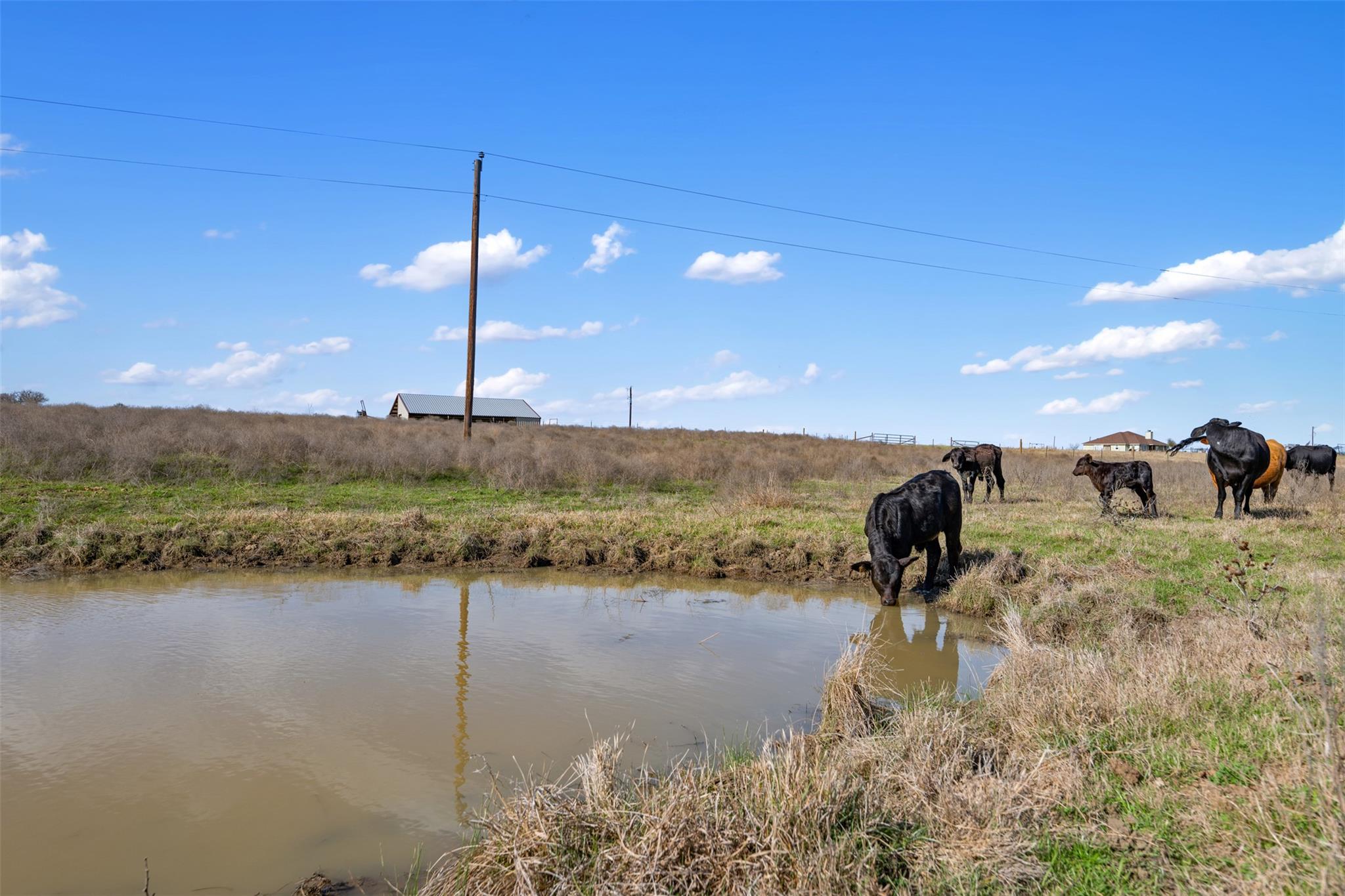 700 County Road 466, Elgin, TX 78621