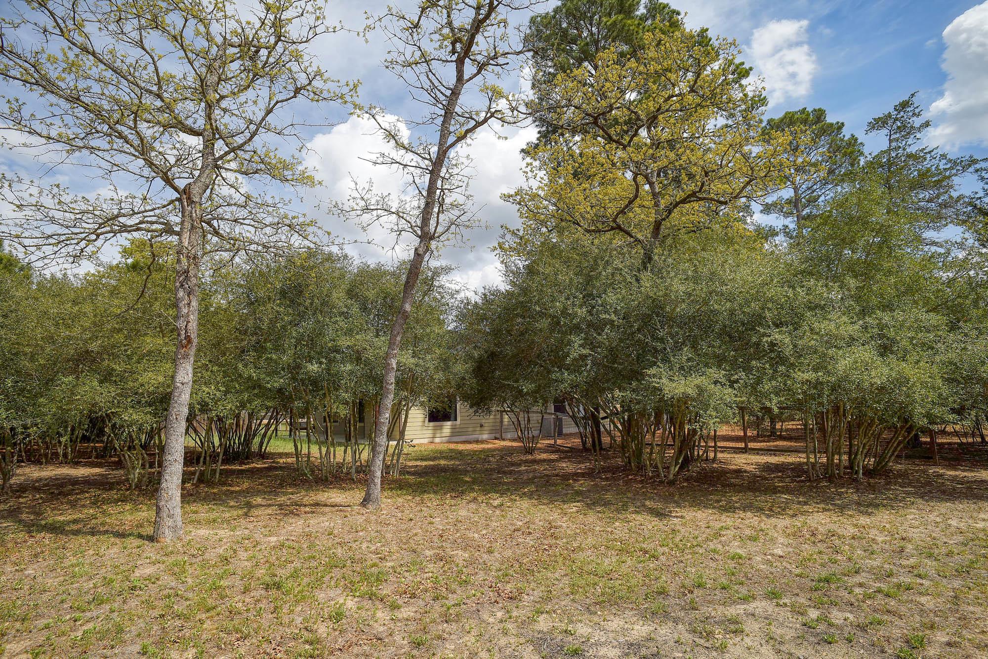 178 S Buckhorn Dr, Bastrop, TX 78602