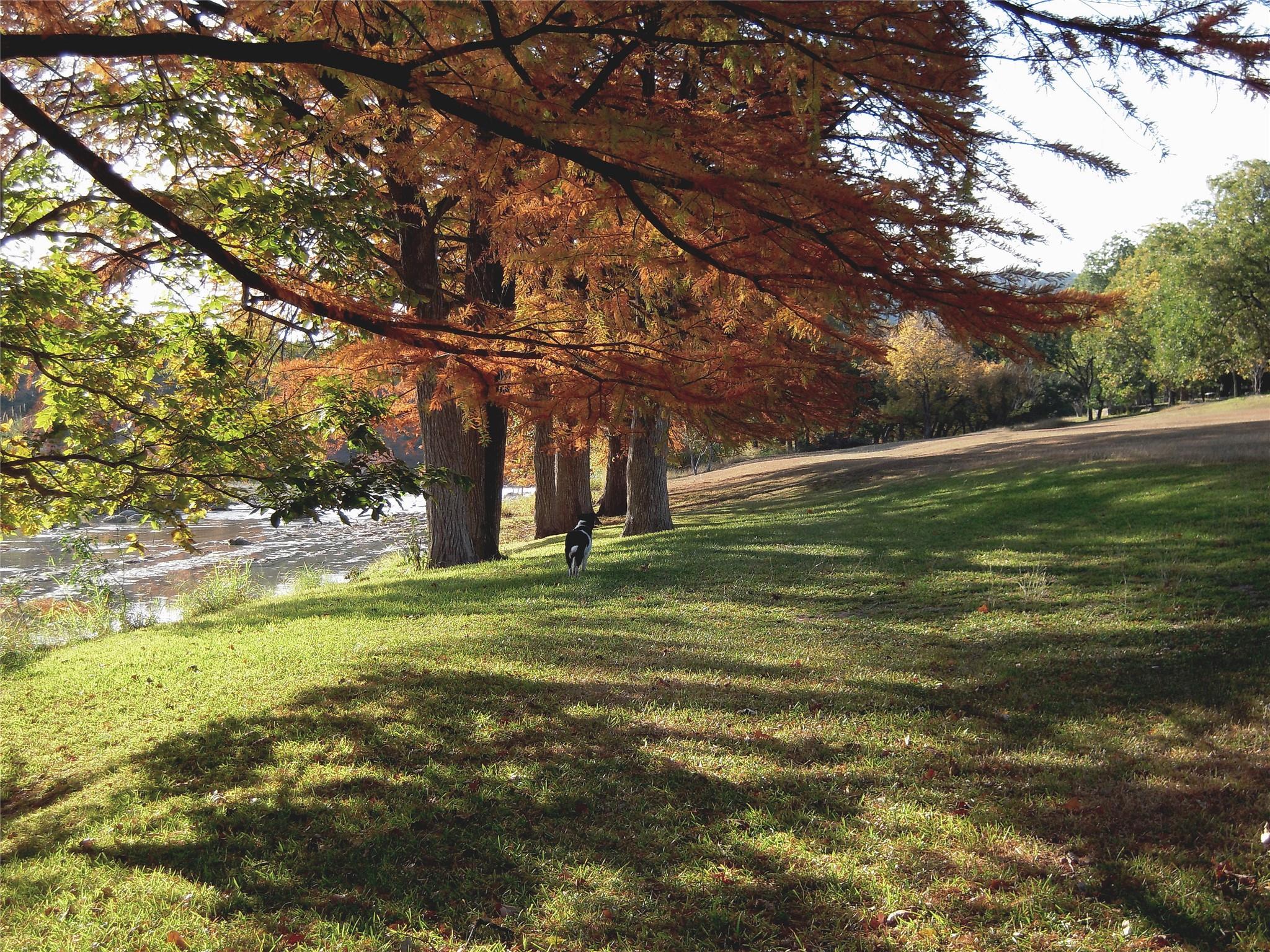 261 Barber Dr, Wimberley, TX 78676