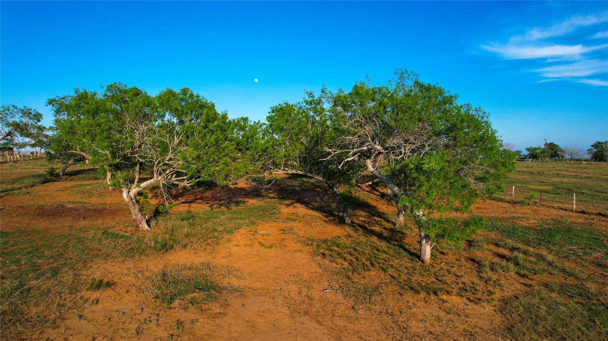 Tract 1 +/- 20 AC E State Highway 87, Nixon, TX 78140