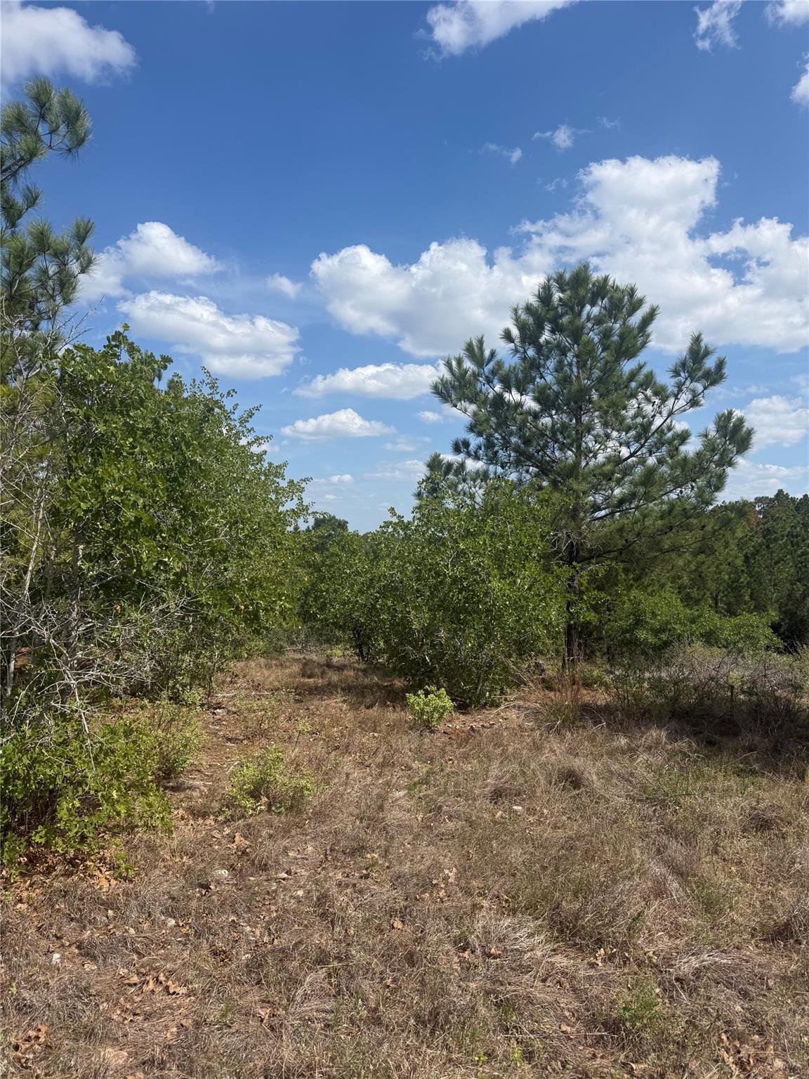 TBD Lakewood Dr, Bastrop, TX 78602