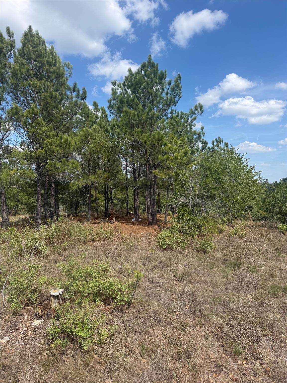 TBD Lakewood Dr, Bastrop, TX 78602