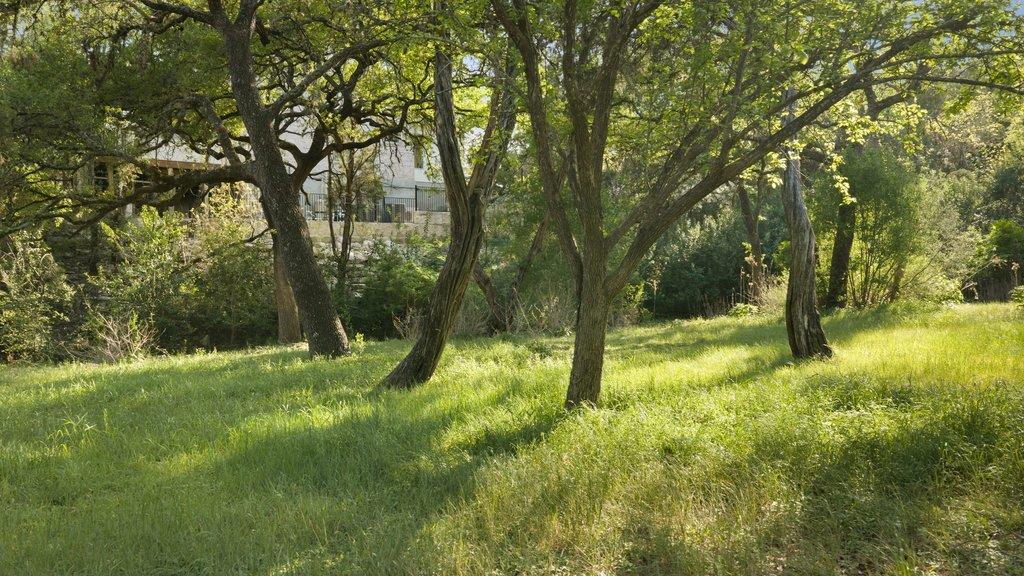 4707 Peace Pipe Path, Austin, TX 78746