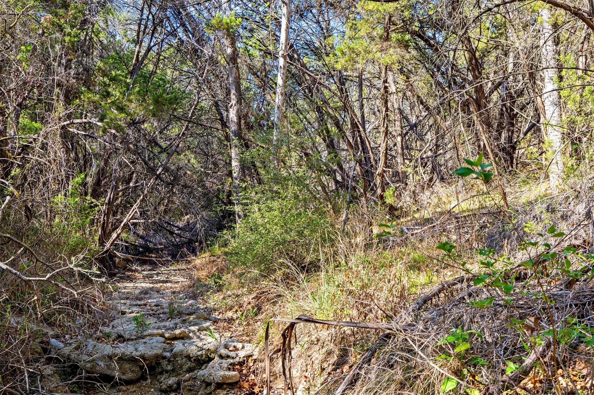 12130 Fitzhugh Pl, Dripping Springs, TX 78620