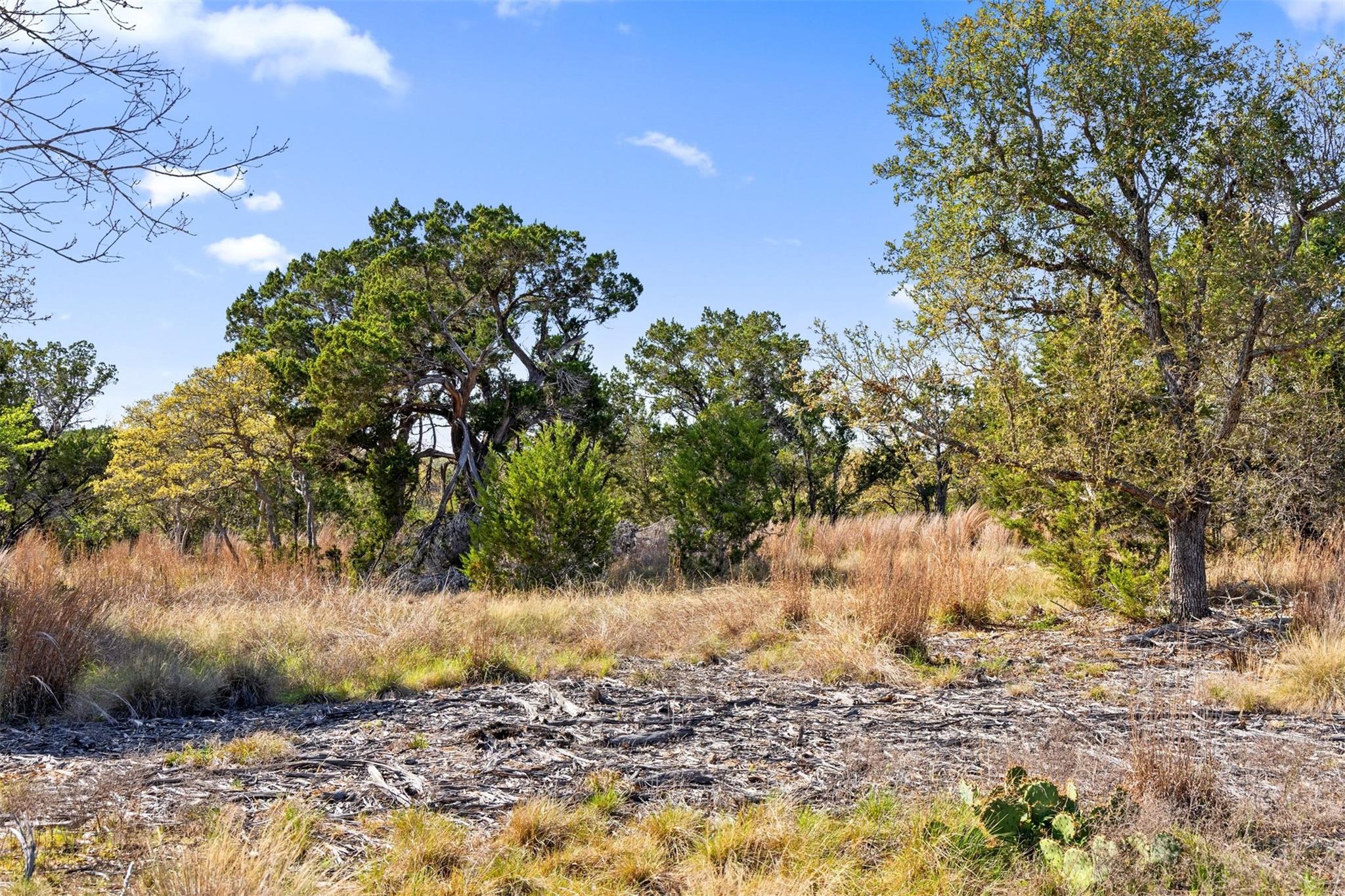 12130 Fitzhugh Pl, Dripping Springs, TX 78620