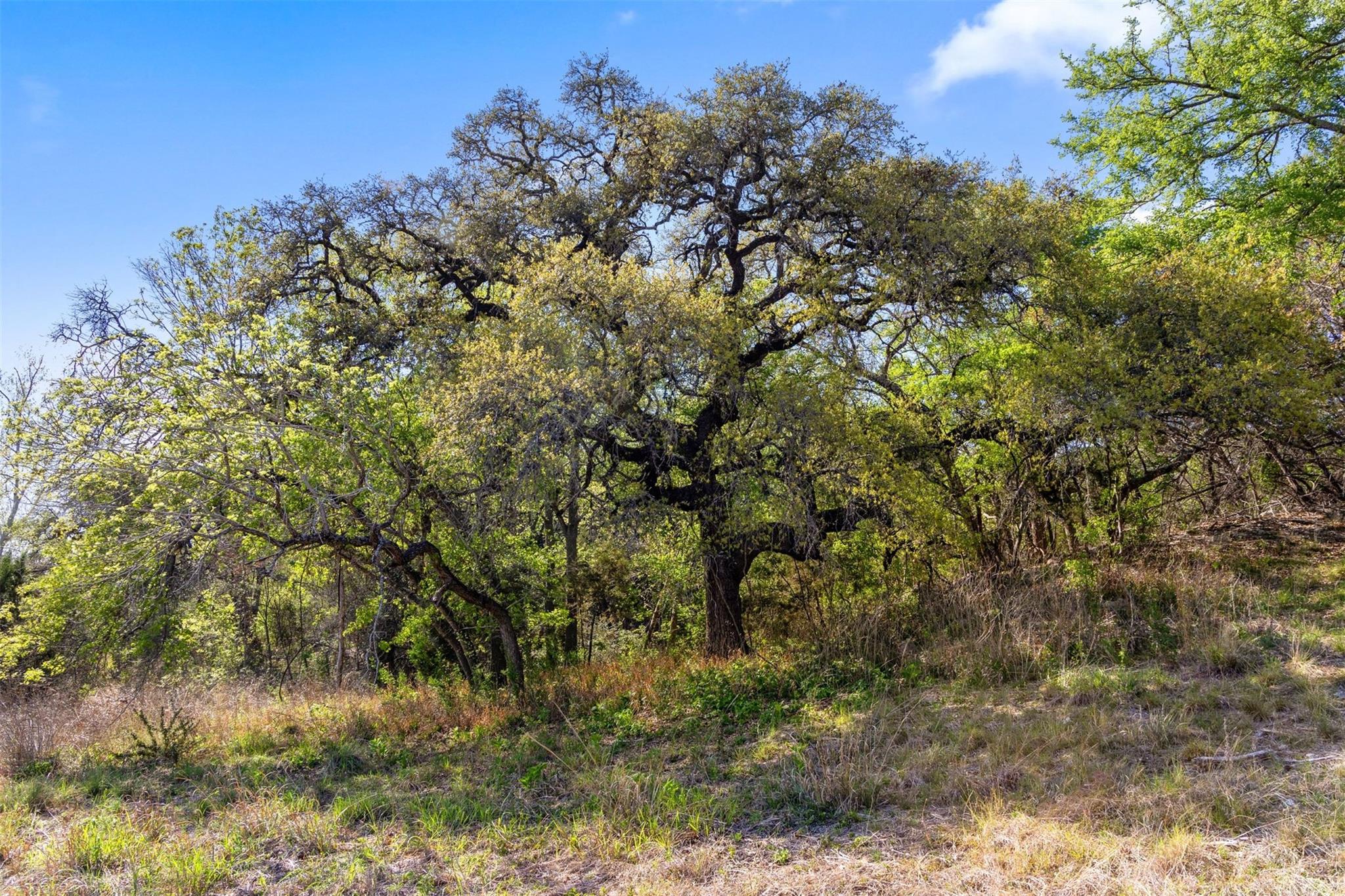 12130 Fitzhugh Pl, Dripping Springs, TX 78620