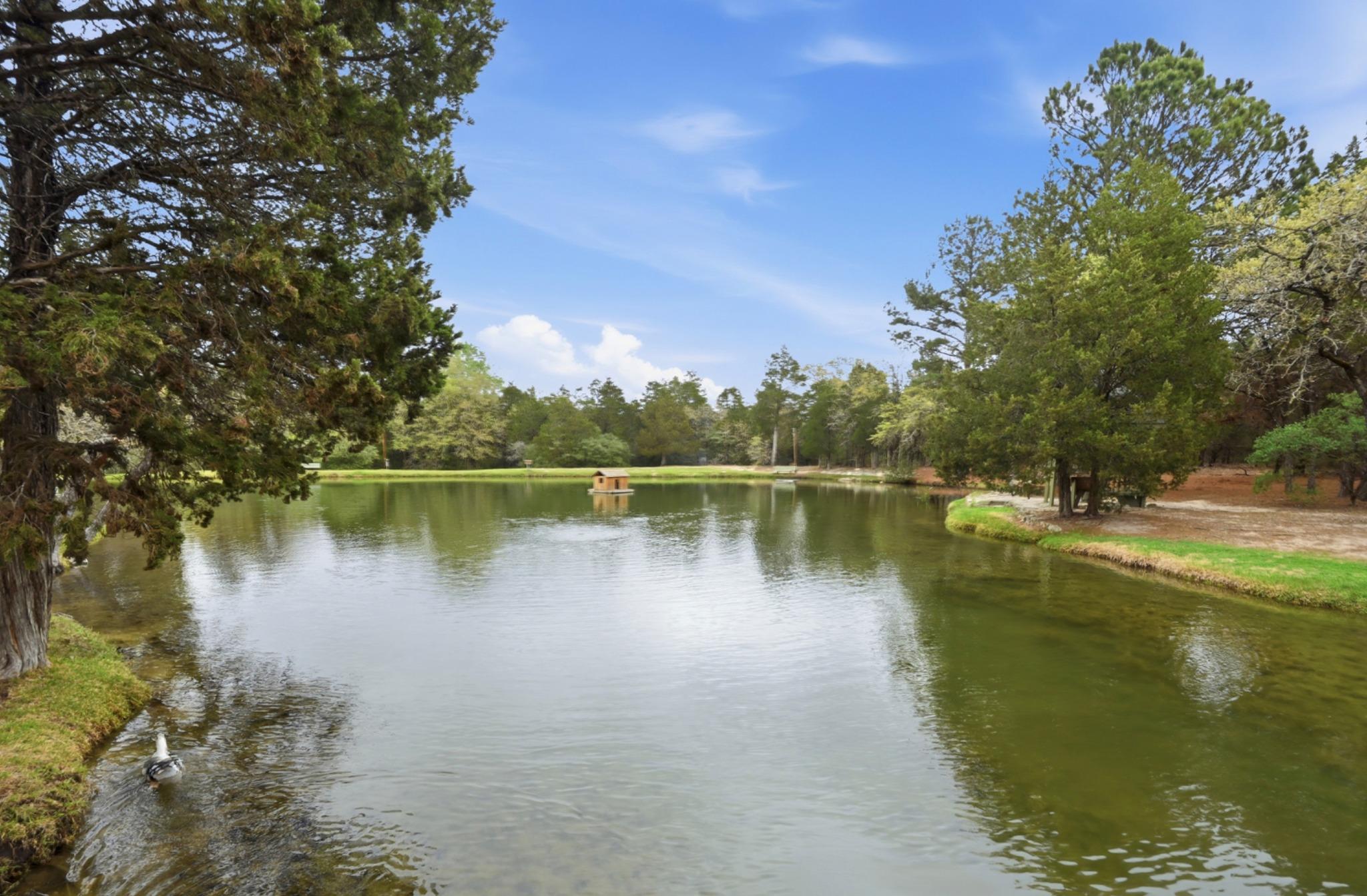 202 Cedar Hills Dr, Elgin, TX 78621