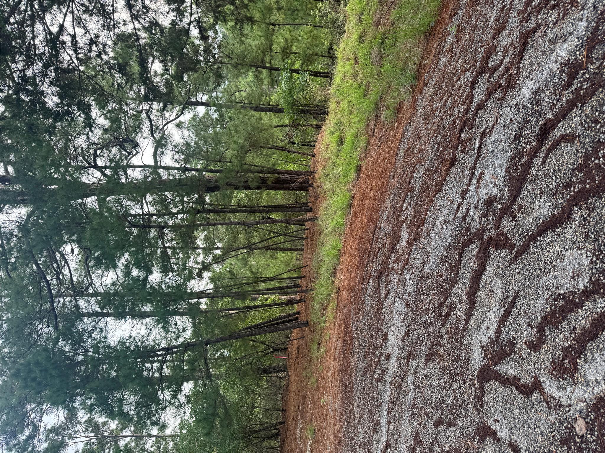 Lot 1492 Haleakala, Bastrop, TX 78602