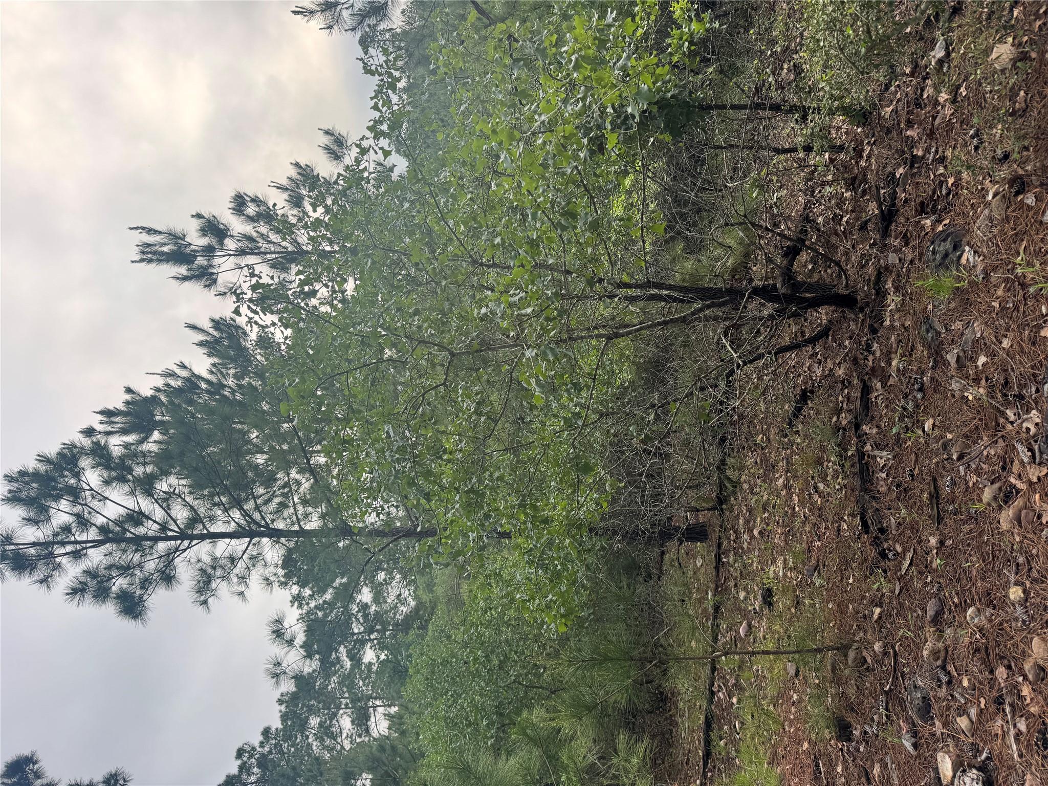 Lot 1492 Haleakala, Bastrop, TX 78602