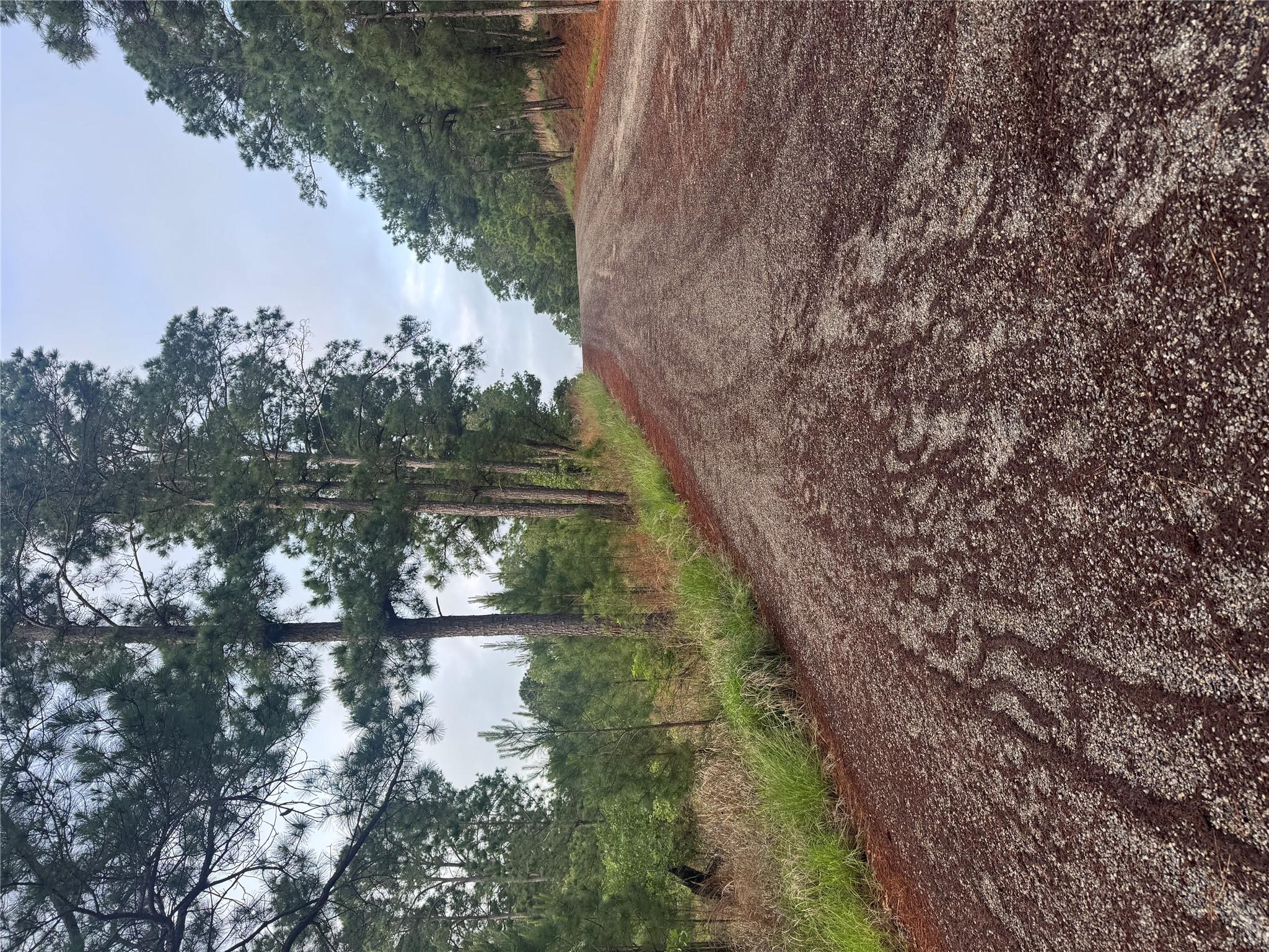 Lot 1492 Haleakala, Bastrop, TX 78602