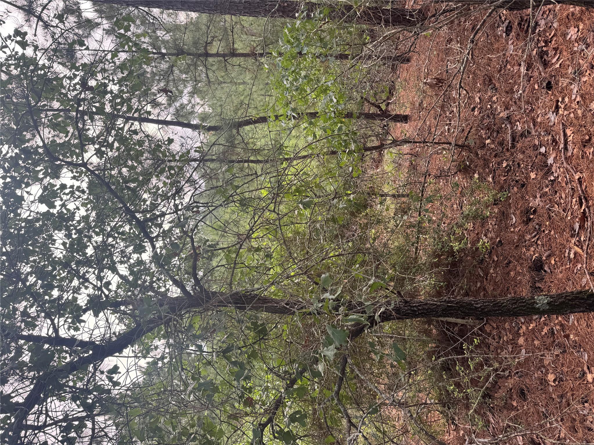 Lot 1492 Haleakala, Bastrop, TX 78602