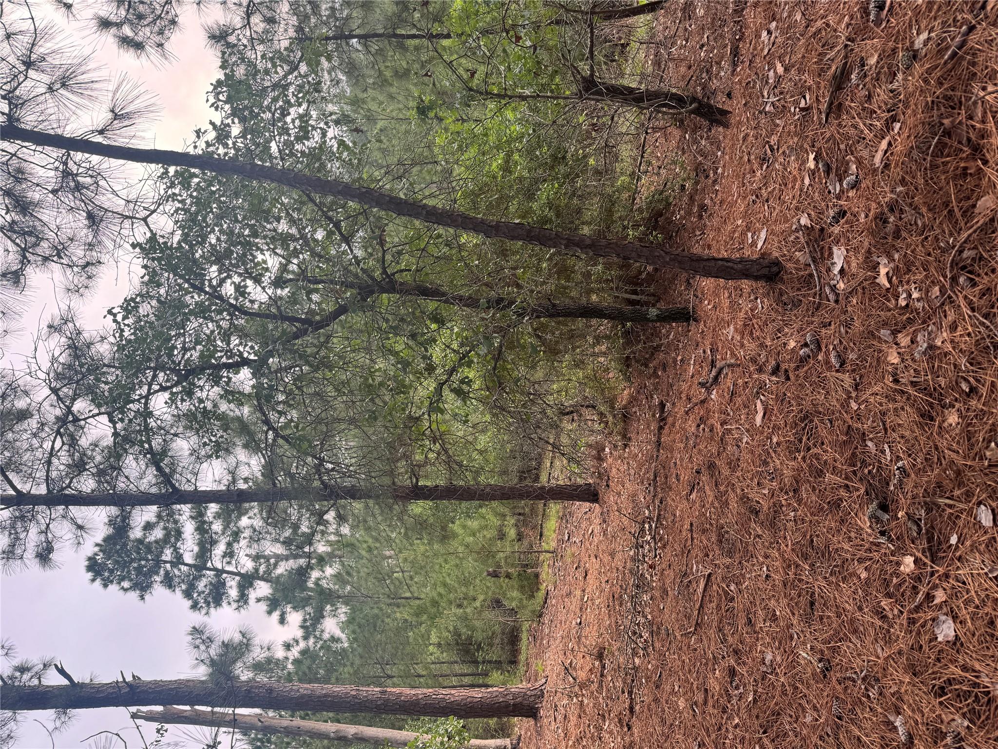 Lot 1492 Haleakala, Bastrop, TX 78602