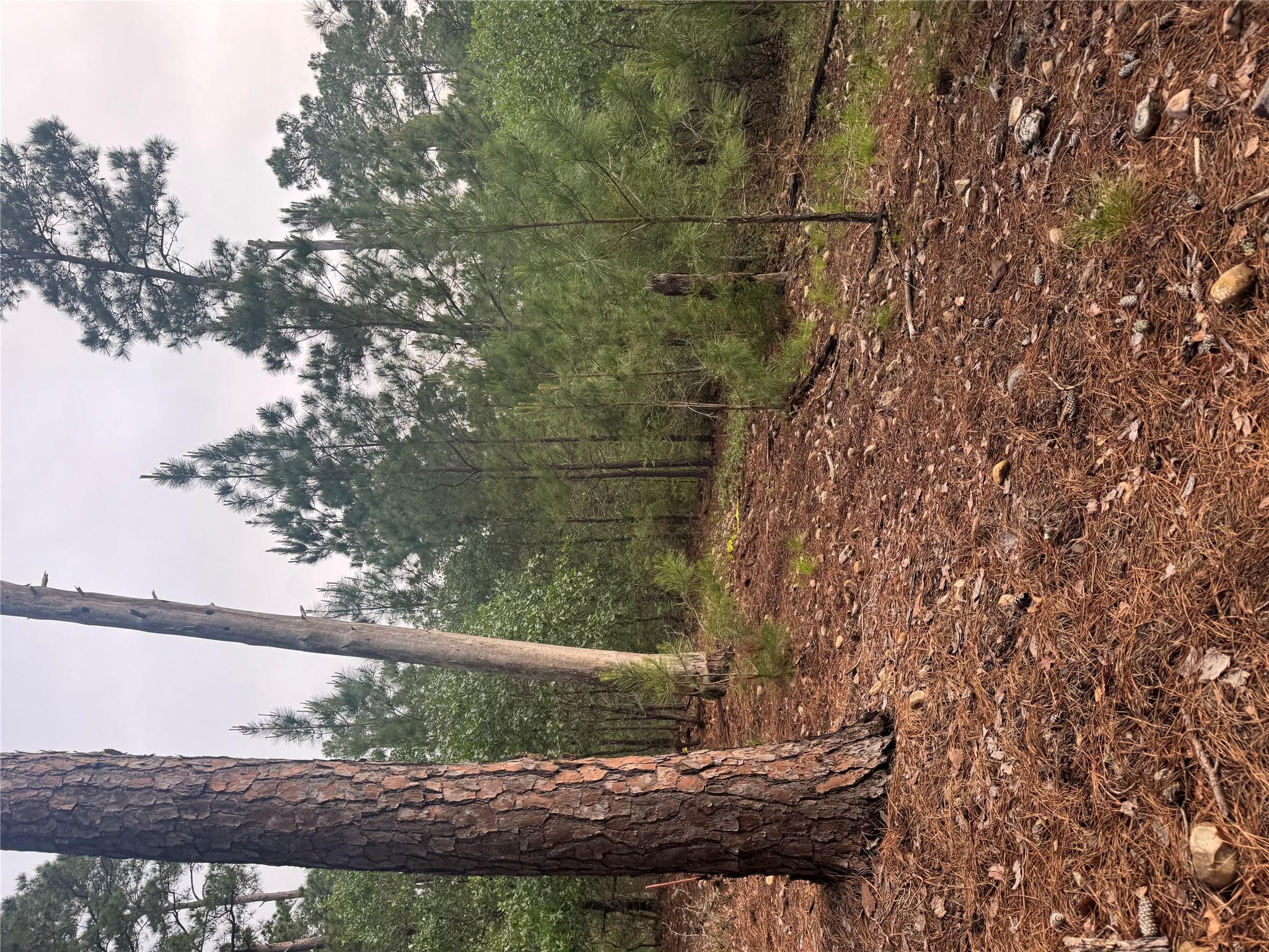 Lot 1492 Haleakala, Bastrop, TX 78602