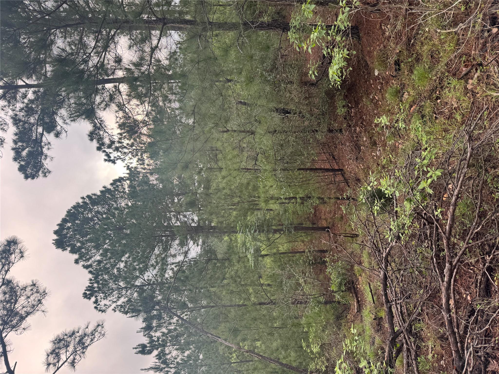 Lot 1491 Haleakala, Bastrop, TX 78602