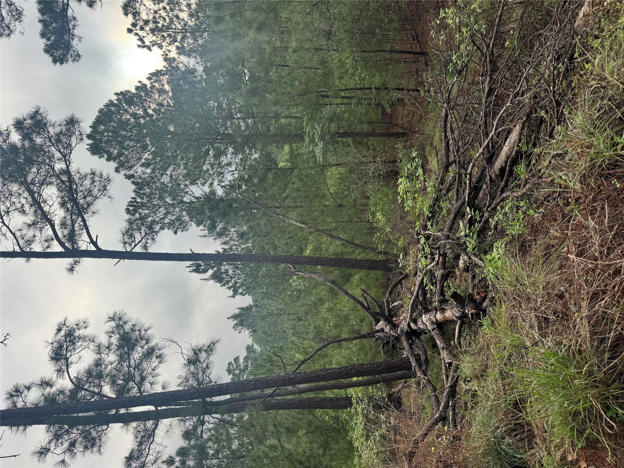 Lot 1491 Haleakala, Bastrop, TX 78602