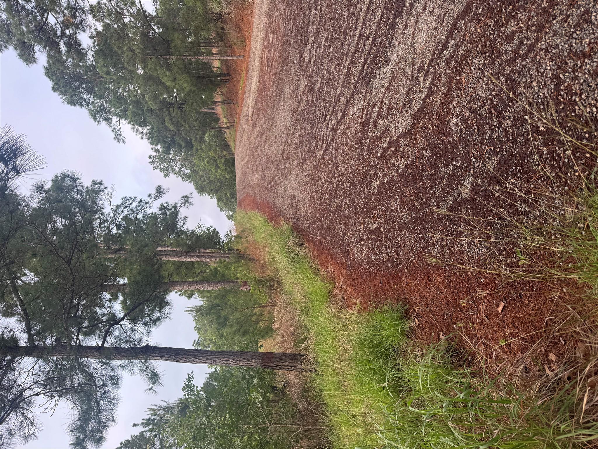 Lot 1491 Haleakala, Bastrop, TX 78602