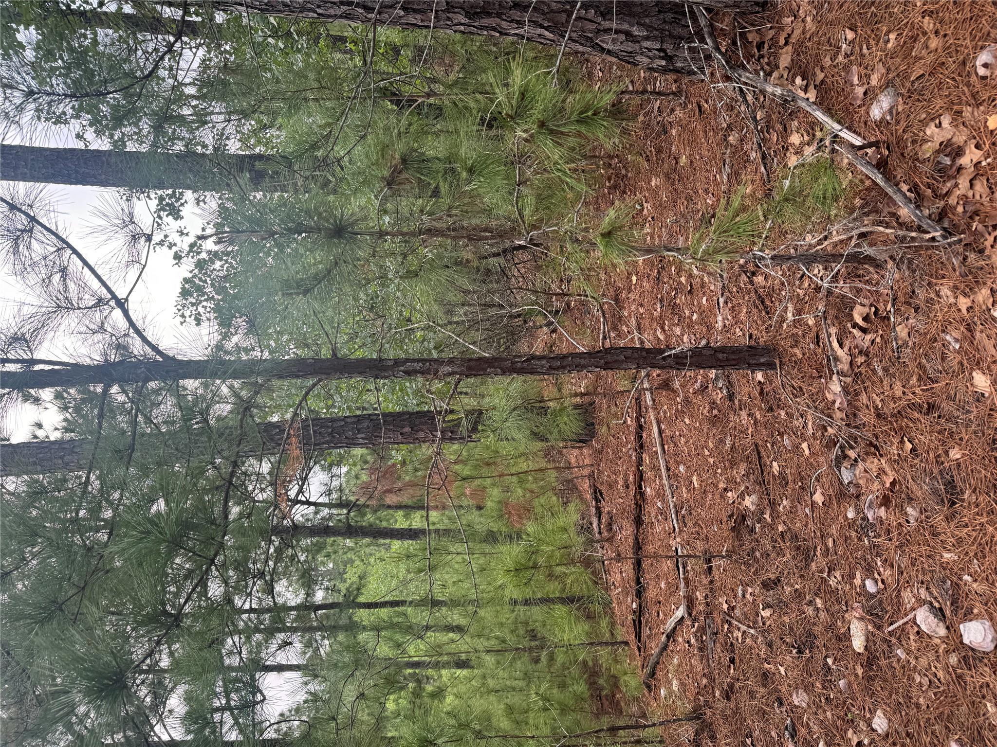 Lot 1491 Haleakala, Bastrop, TX 78602