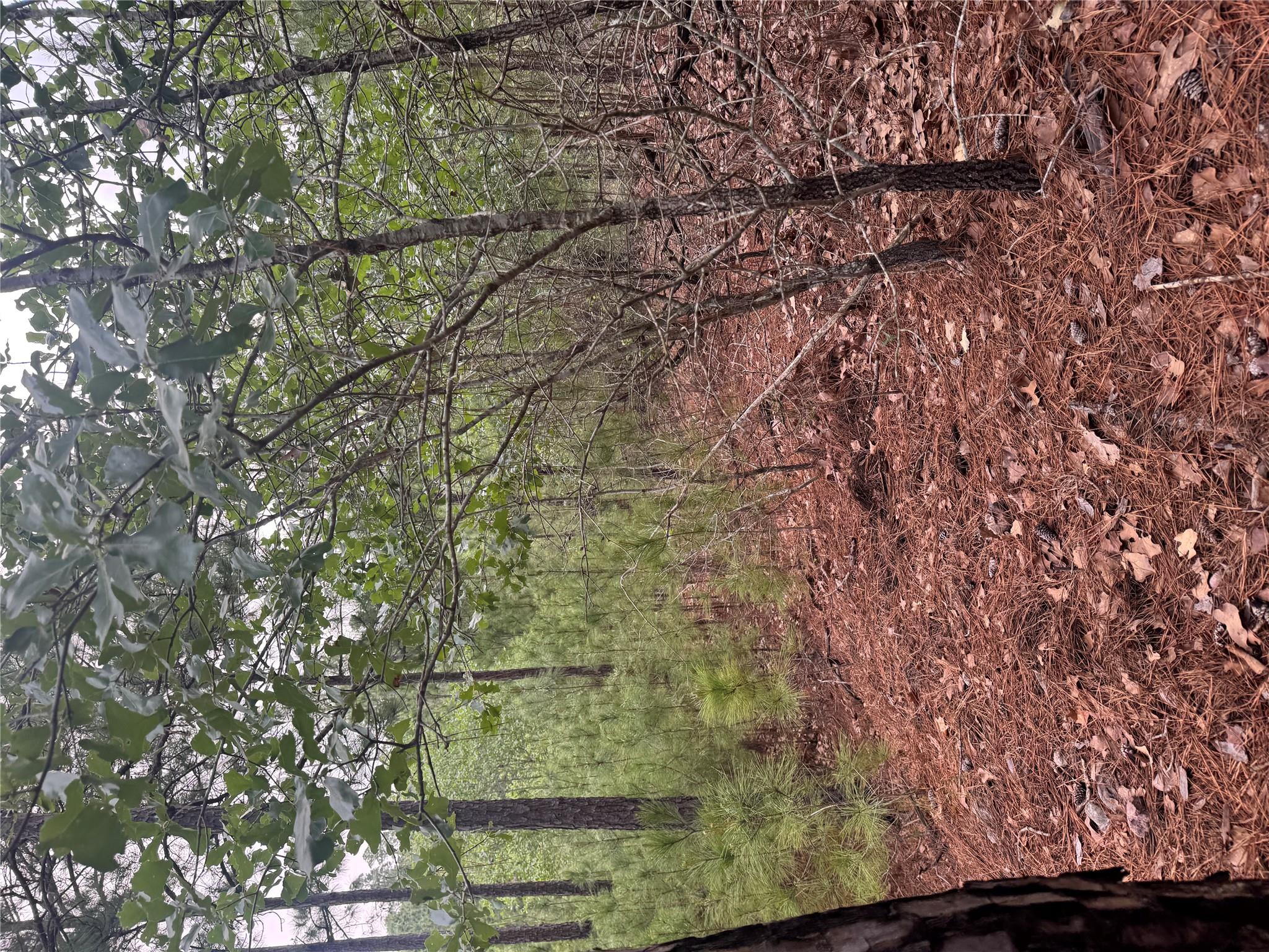 Lot 1490 Haleakala, Bastrop, TX 78602