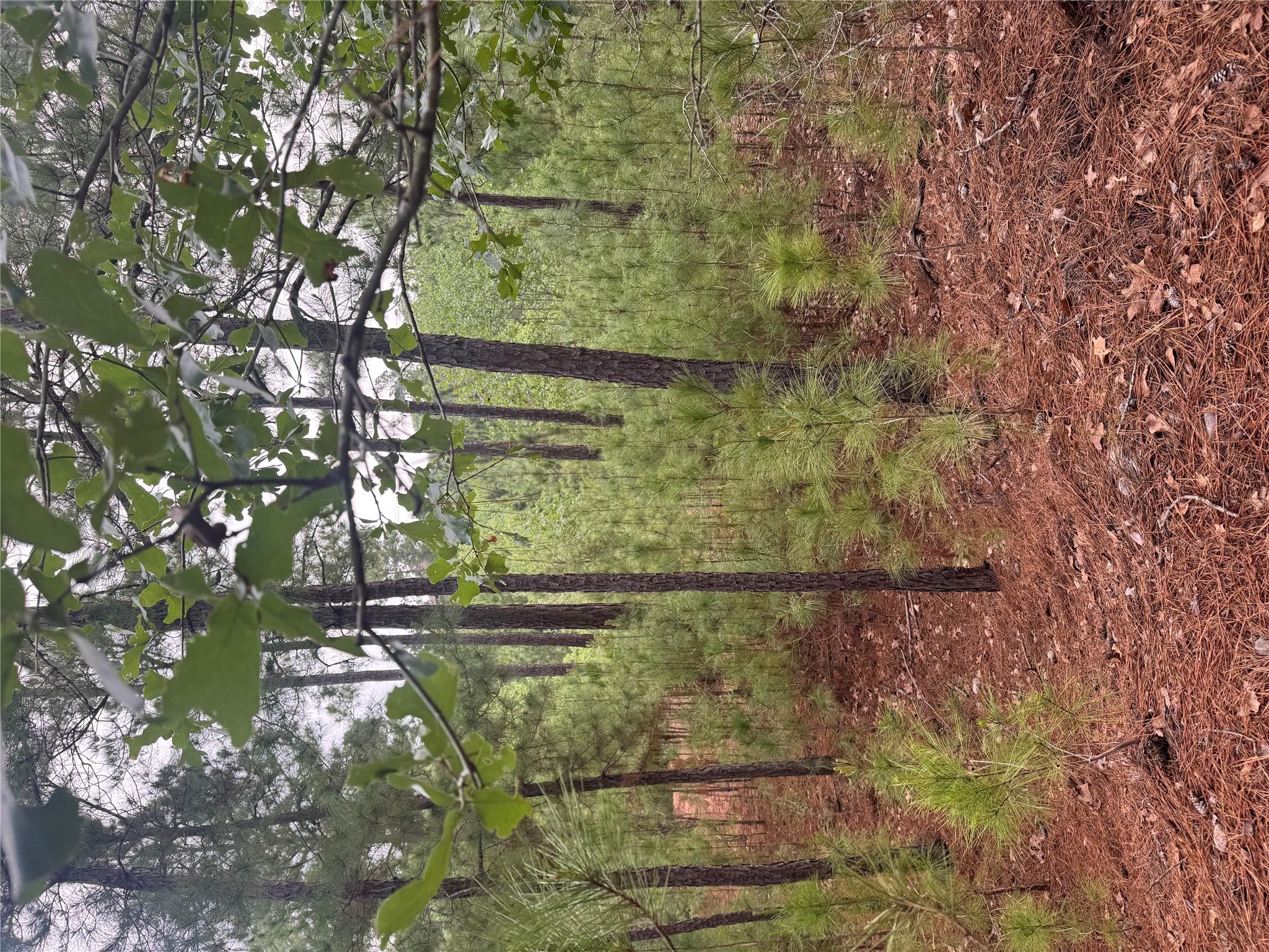 Lot 1490 Haleakala, Bastrop, TX 78602