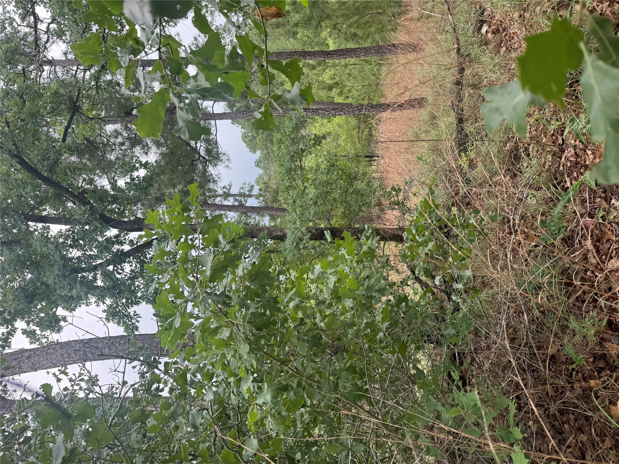 Lot 1612 Kaanapali Ln, Bastrop, TX 78602