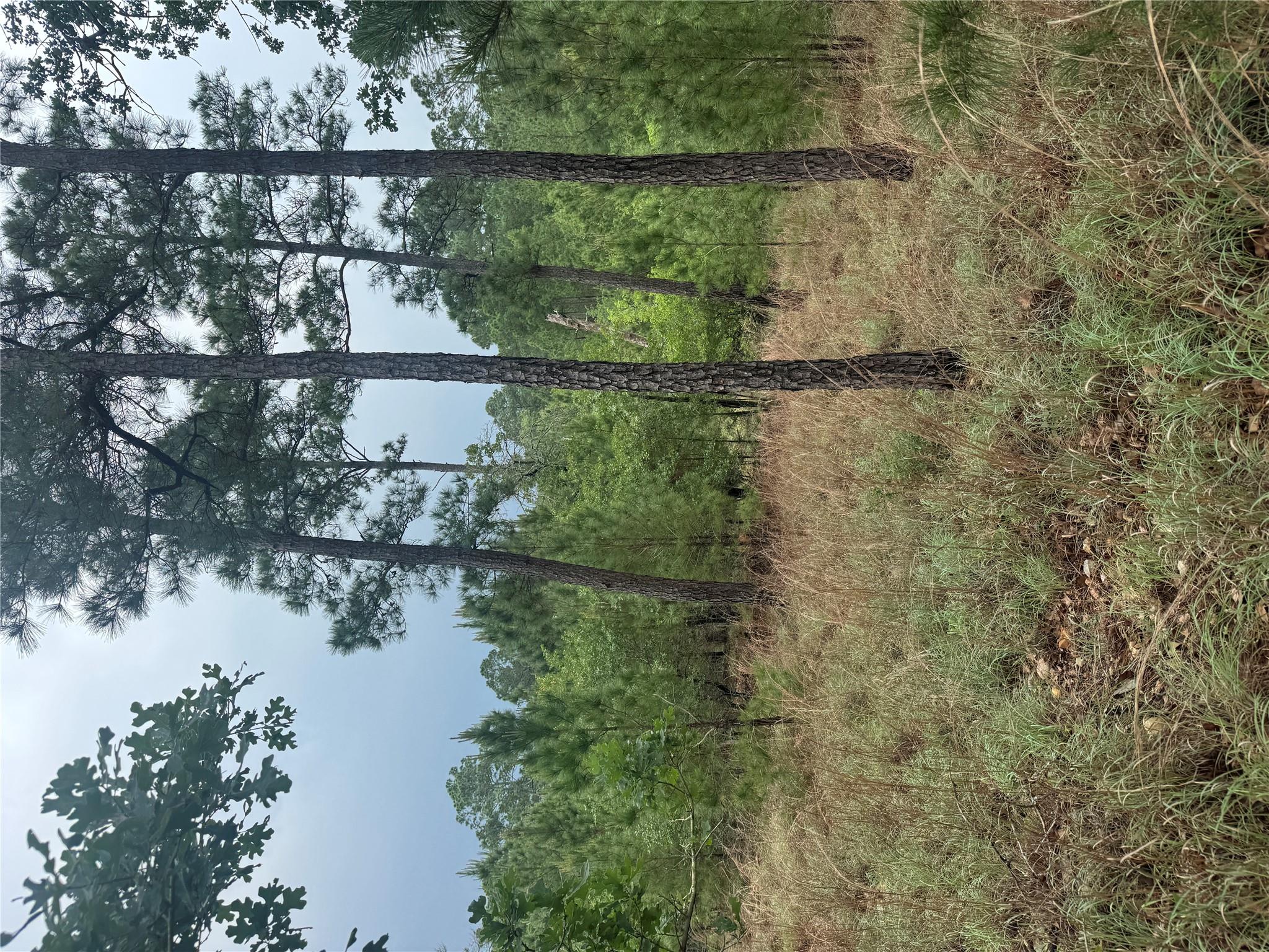 Lot 1612 Kaanapali Ln, Bastrop, TX 78602