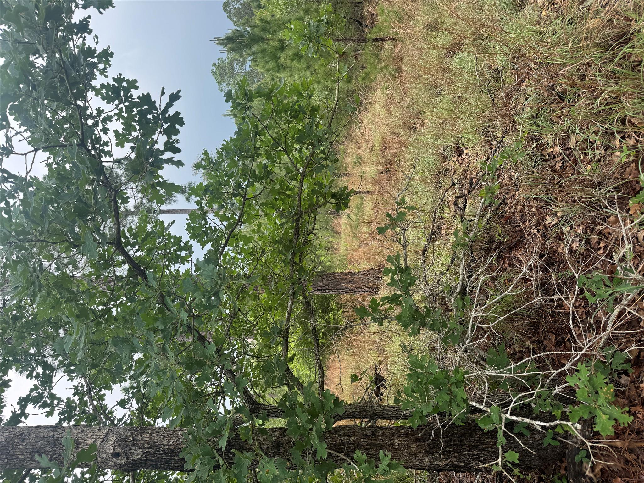 Lot 1612 Kaanapali Ln, Bastrop, TX 78602