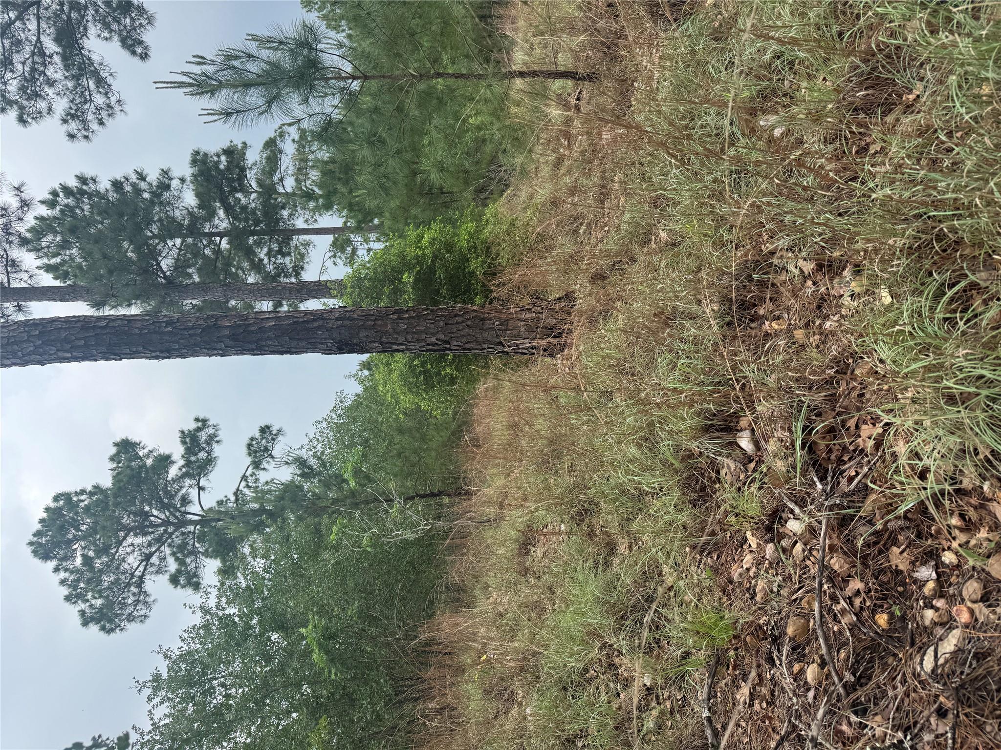 Lot 1612 Kaanapali Ln, Bastrop, TX 78602