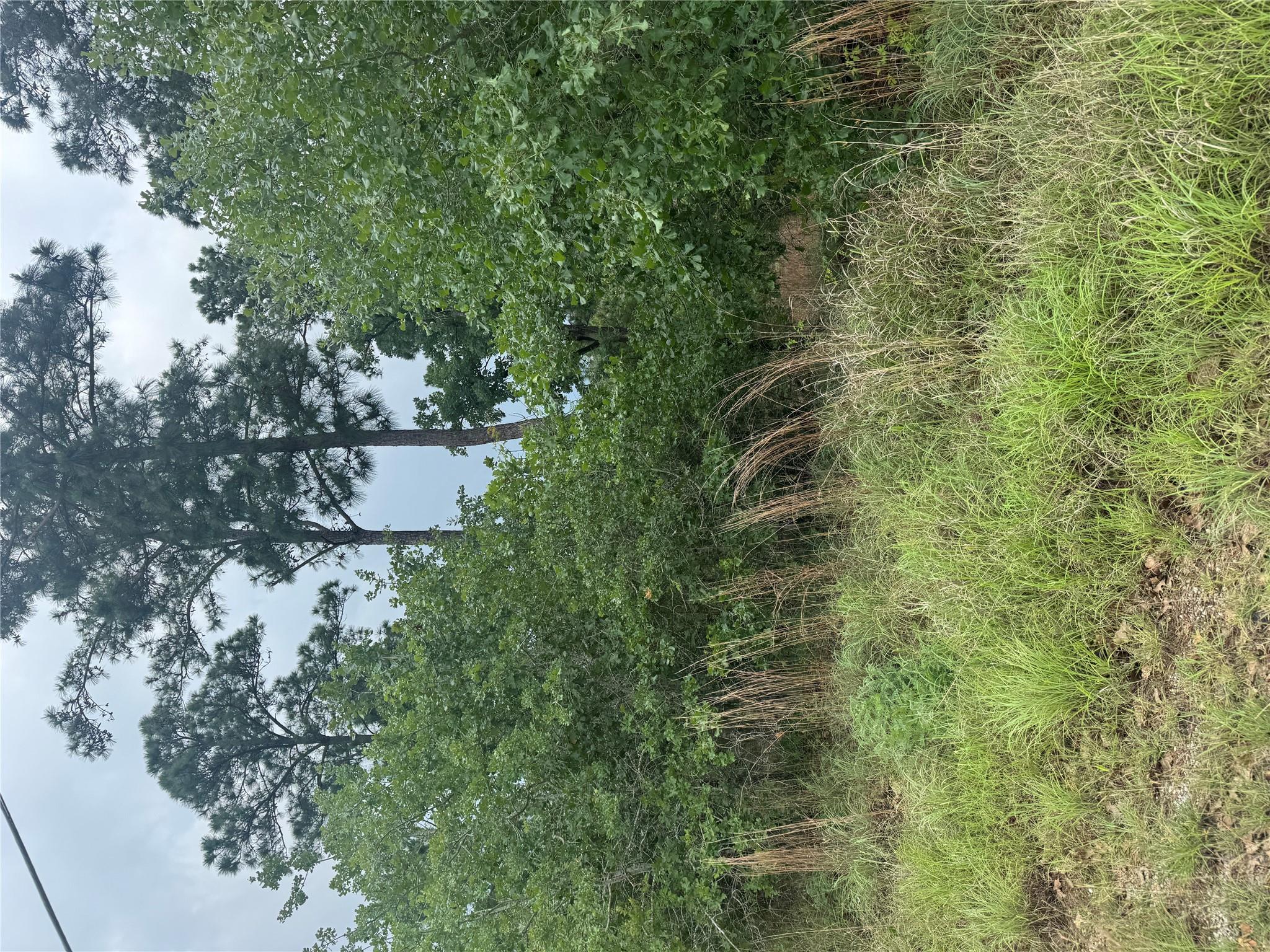 Lot 1612 Kaanapali Ln, Bastrop, TX 78602