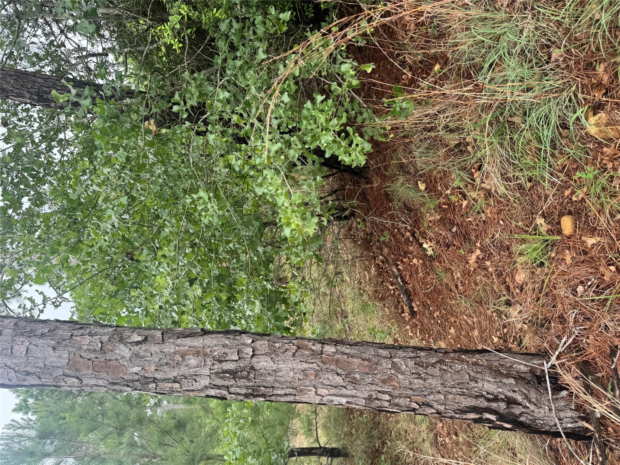 Lot 1614 Kaanapali Ln, Bastrop, TX 78602