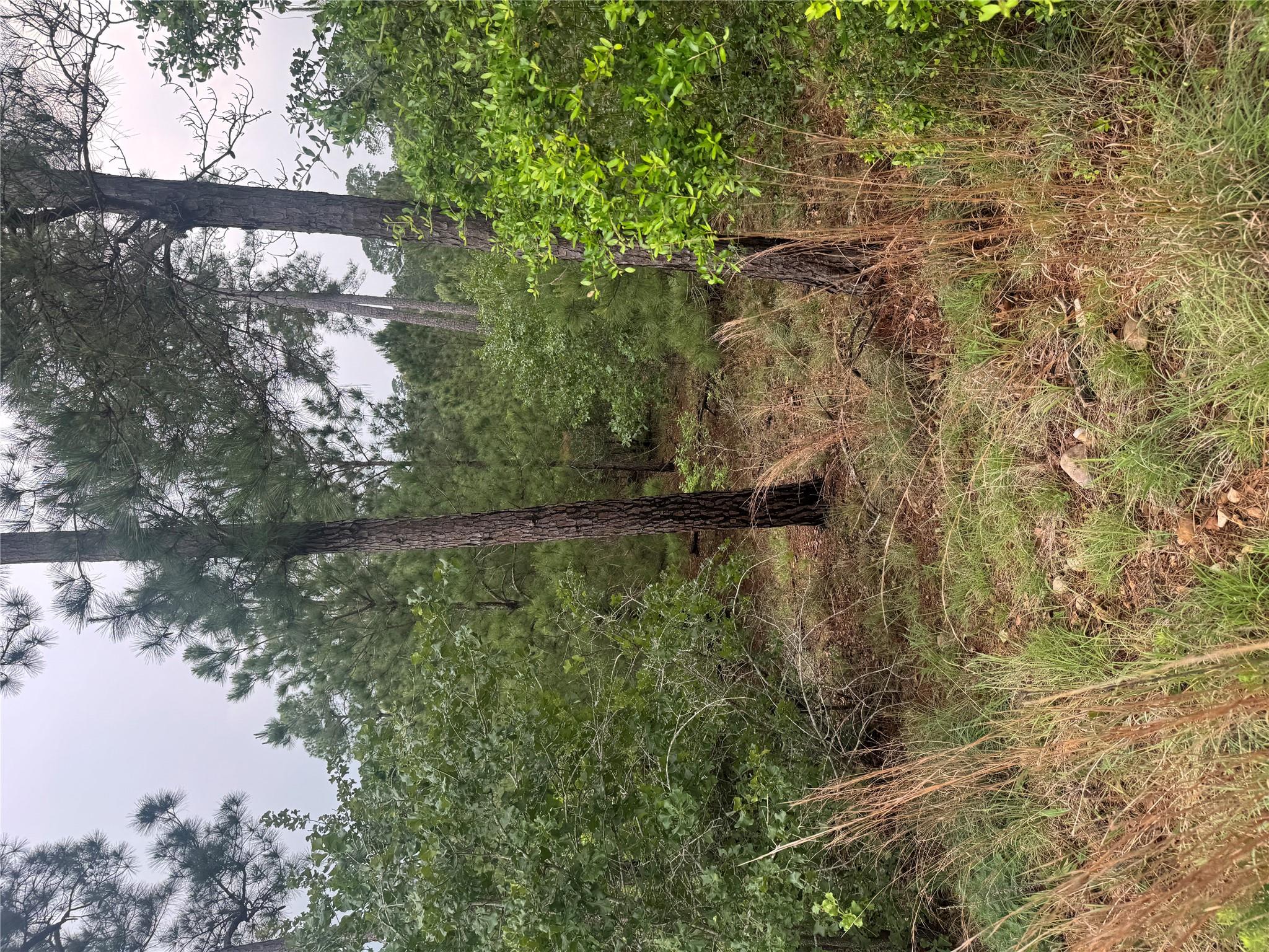 Lot 1614 Kaanapali Ln, Bastrop, TX 78602