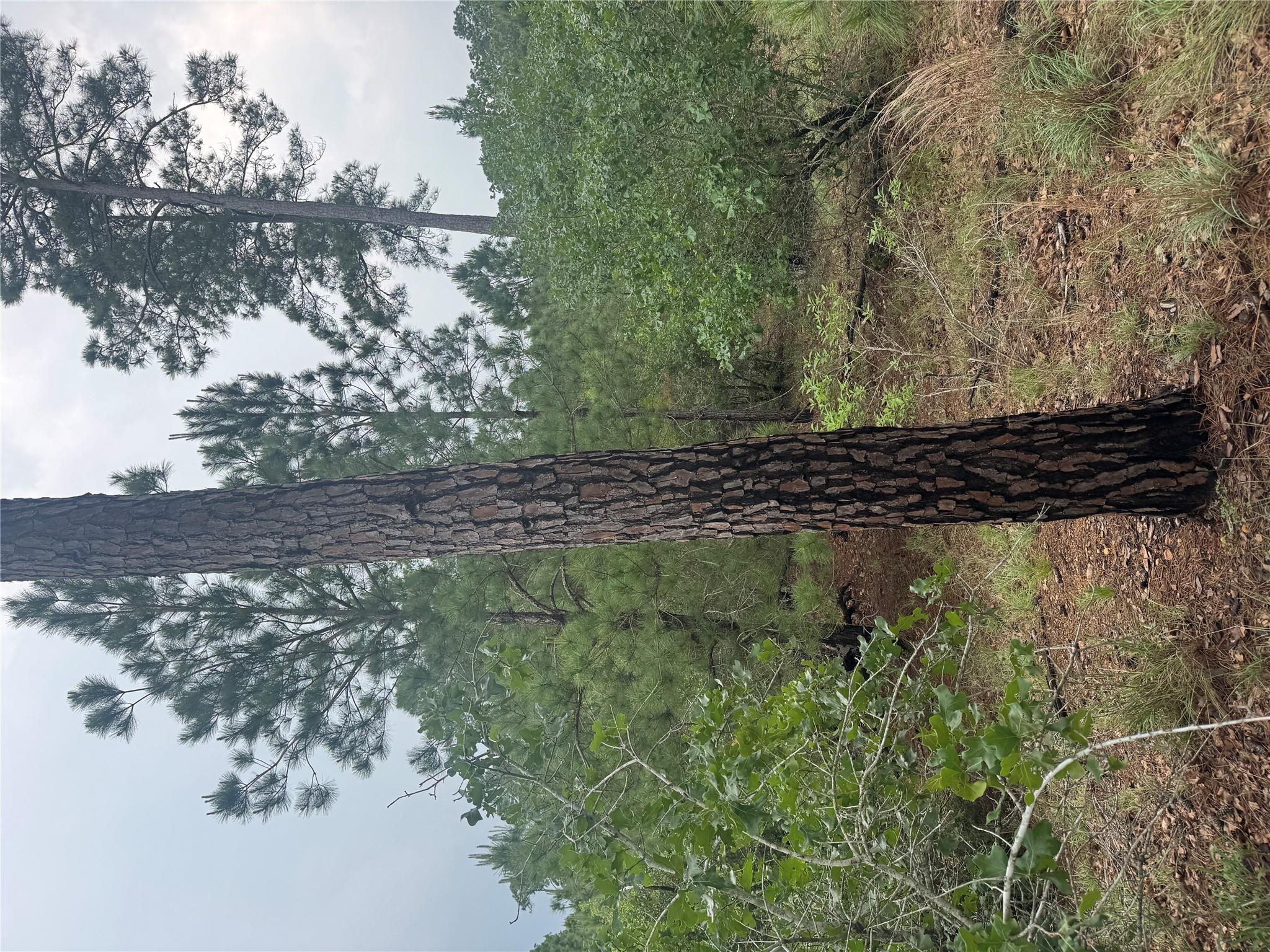 Lot 1614 Kaanapali Ln, Bastrop, TX 78602