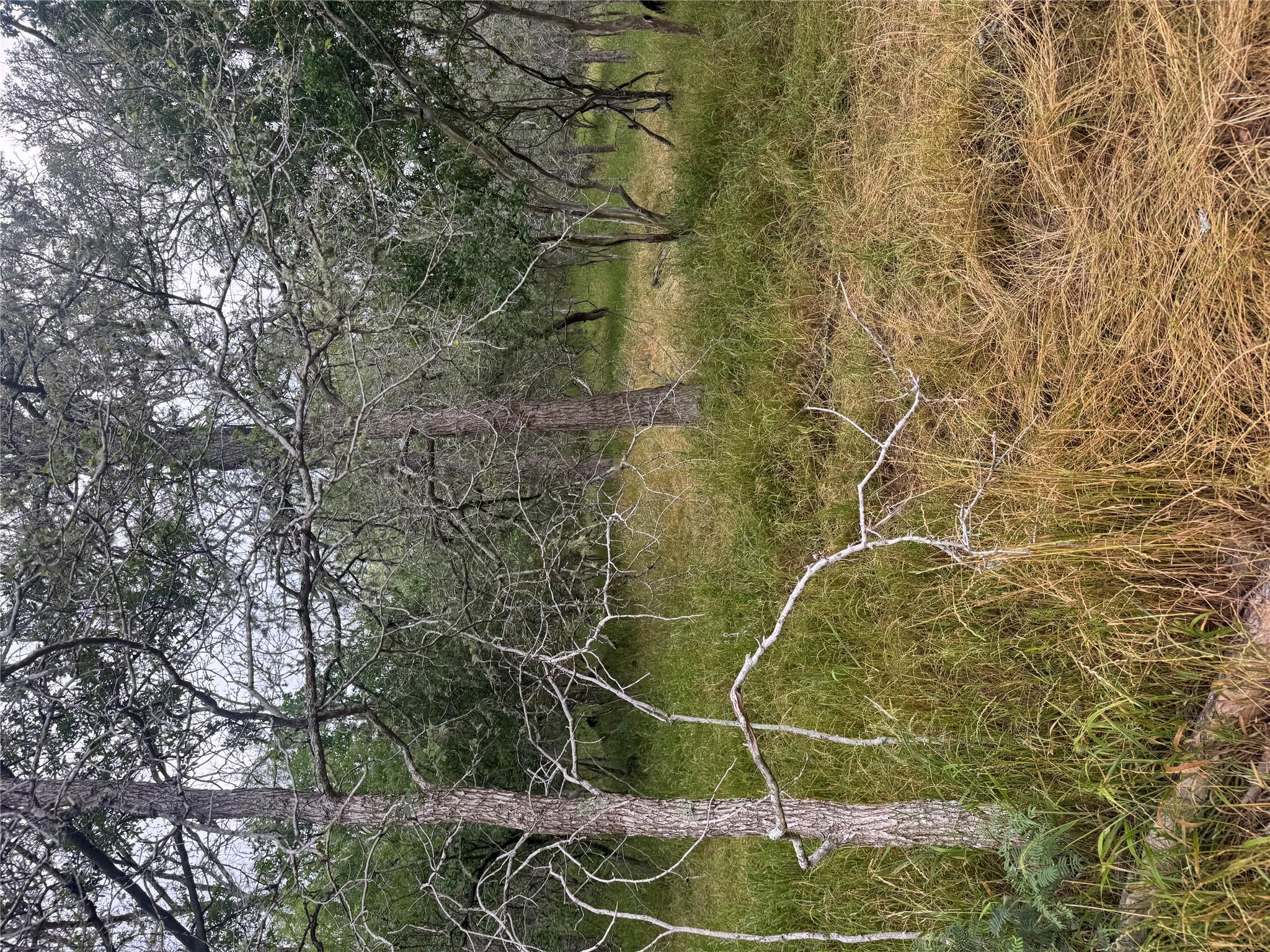 109 Hauula Ct, Bastrop, TX 78602