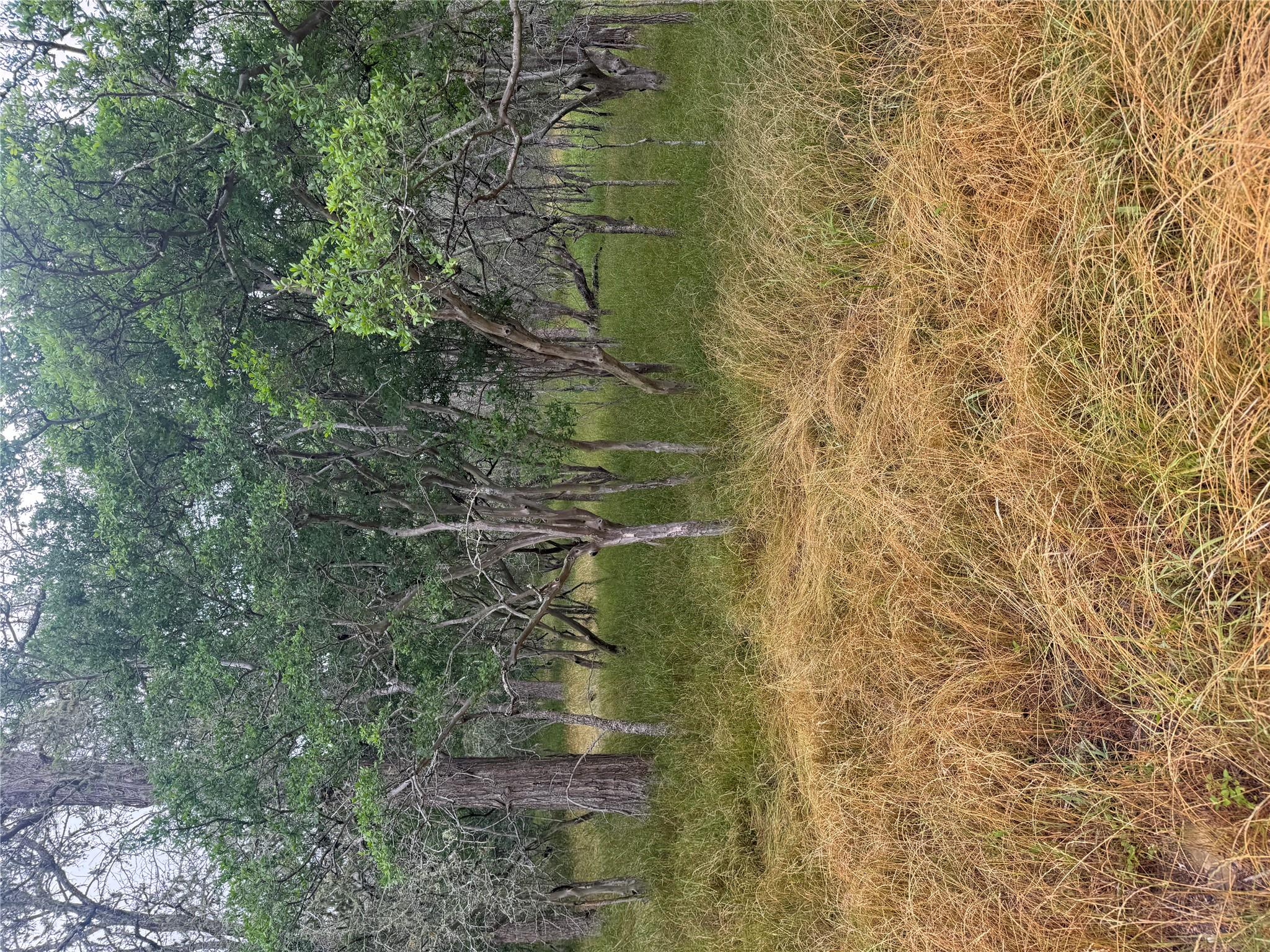 109 Hauula Ct, Bastrop, TX 78602