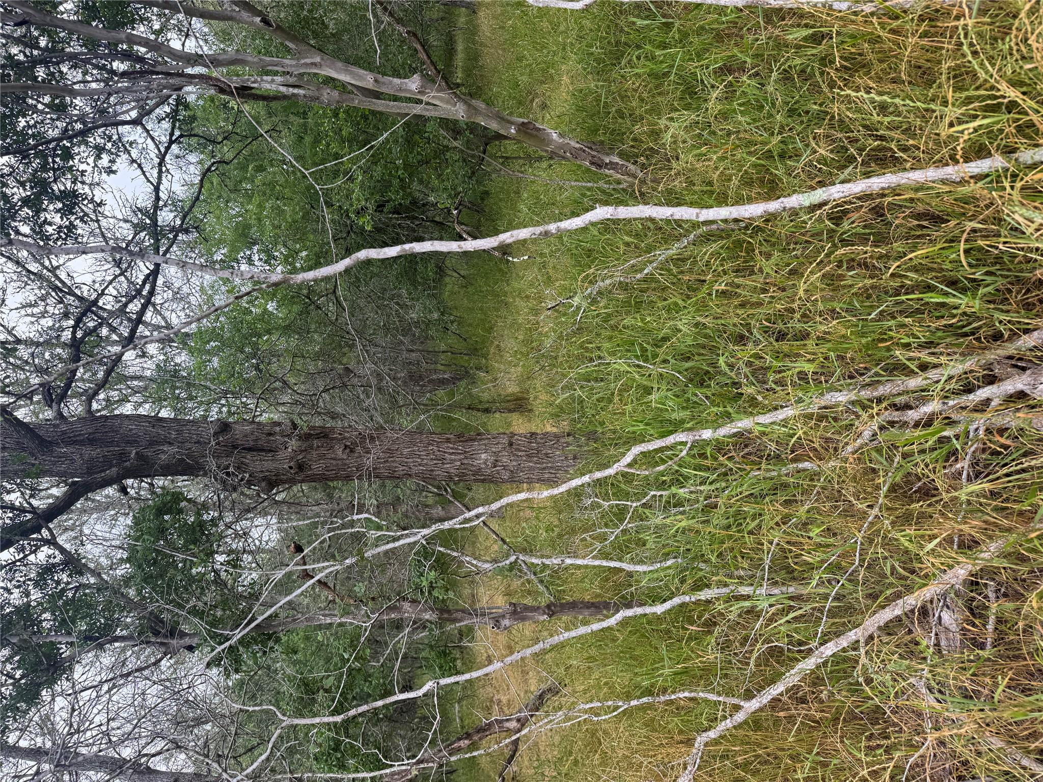 109 Hauula Ct, Bastrop, TX 78602