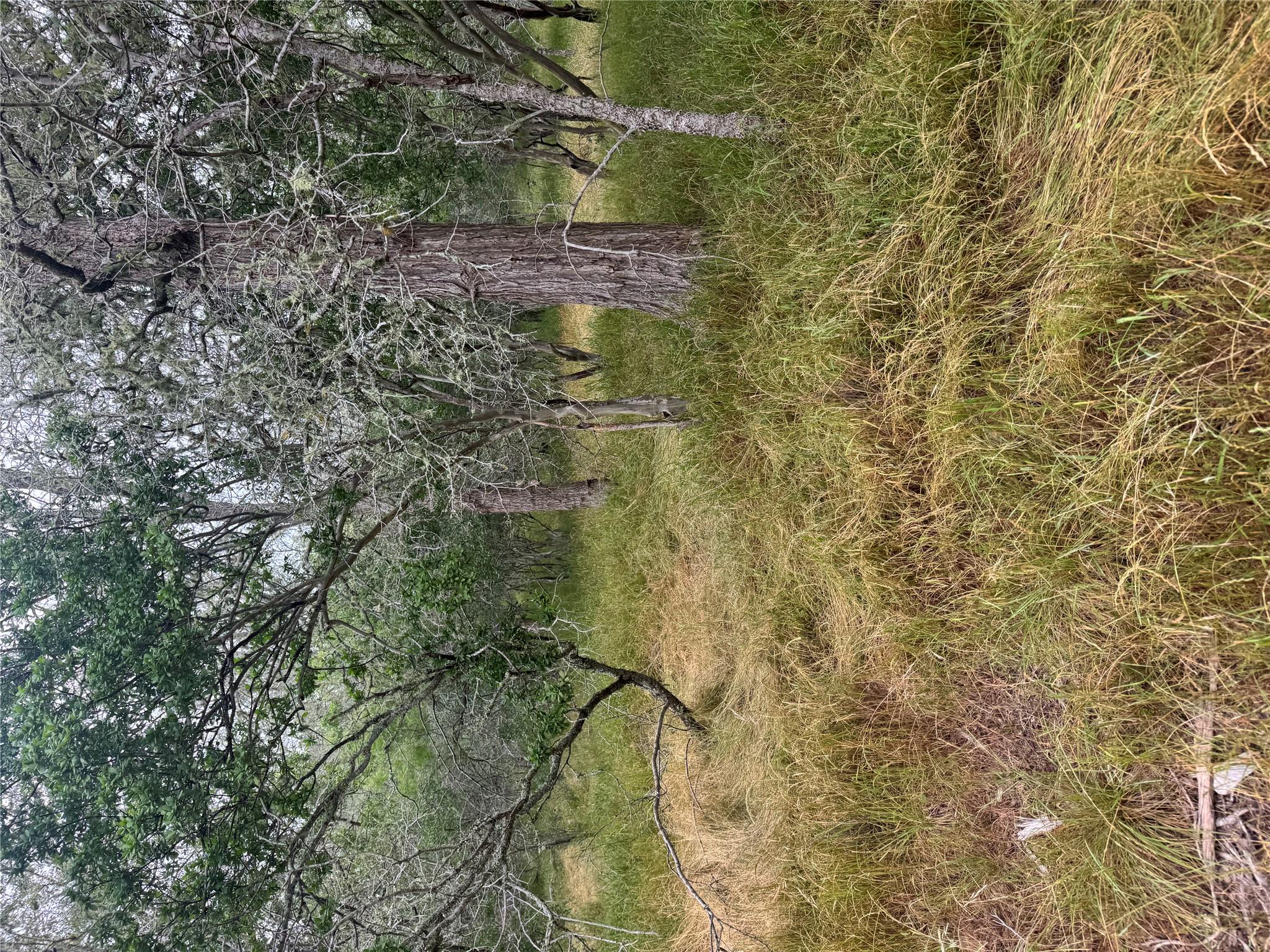 109 Hauula Ct, Bastrop, TX 78602