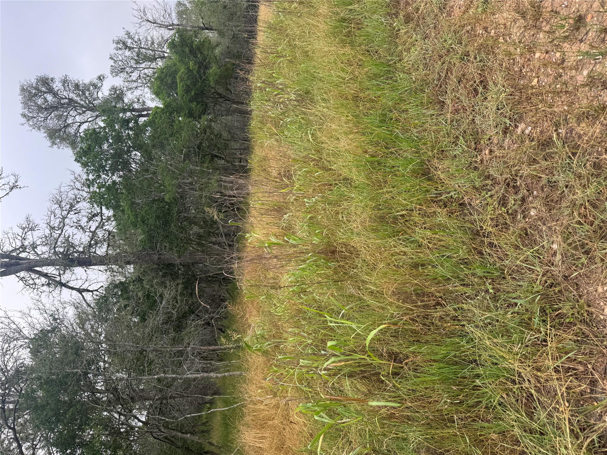 109 Hauula Ct, Bastrop, TX 78602