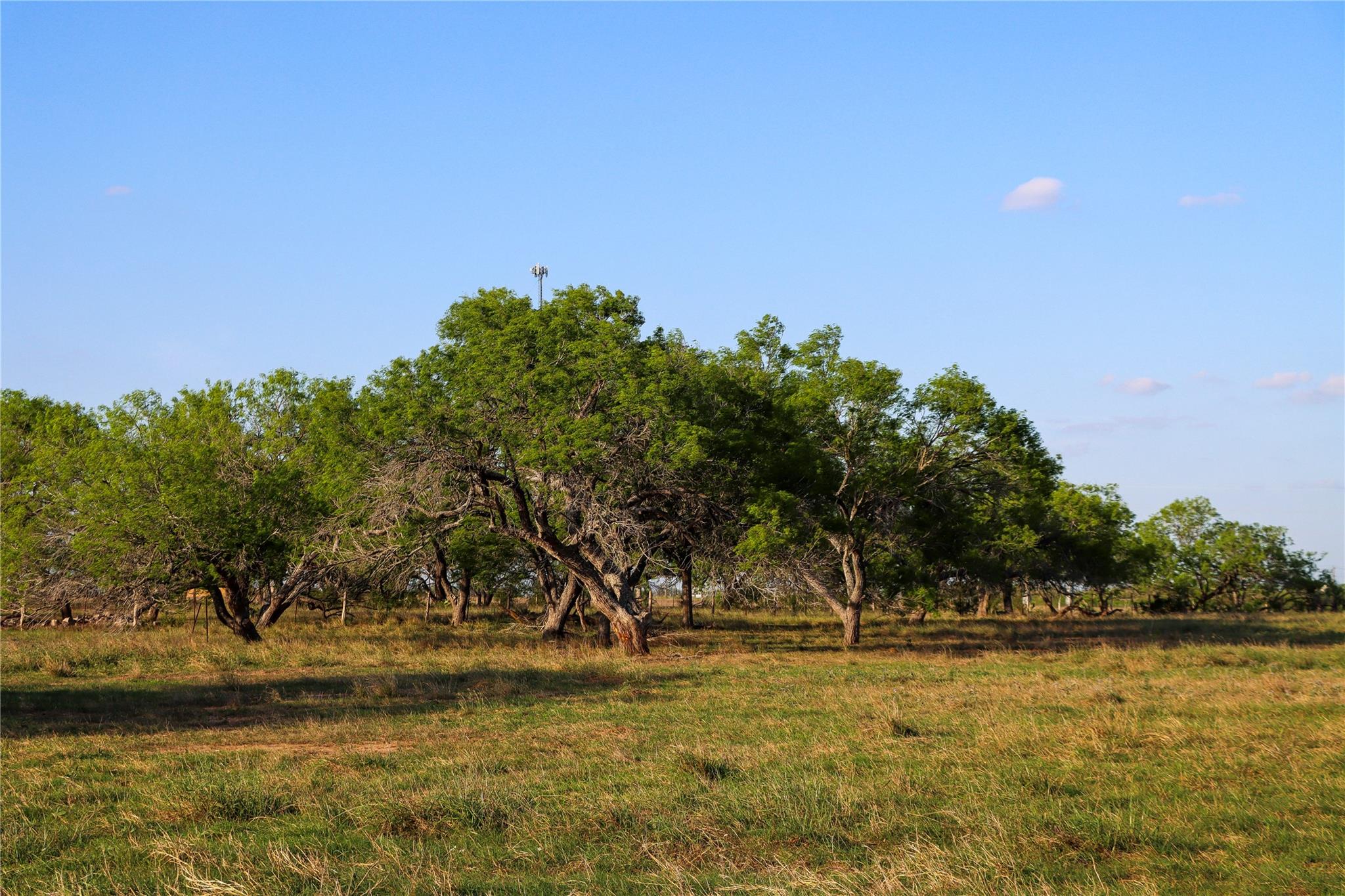 Tract 3 +/- 29 AC E State Highway 87, Nixon, TX 78140