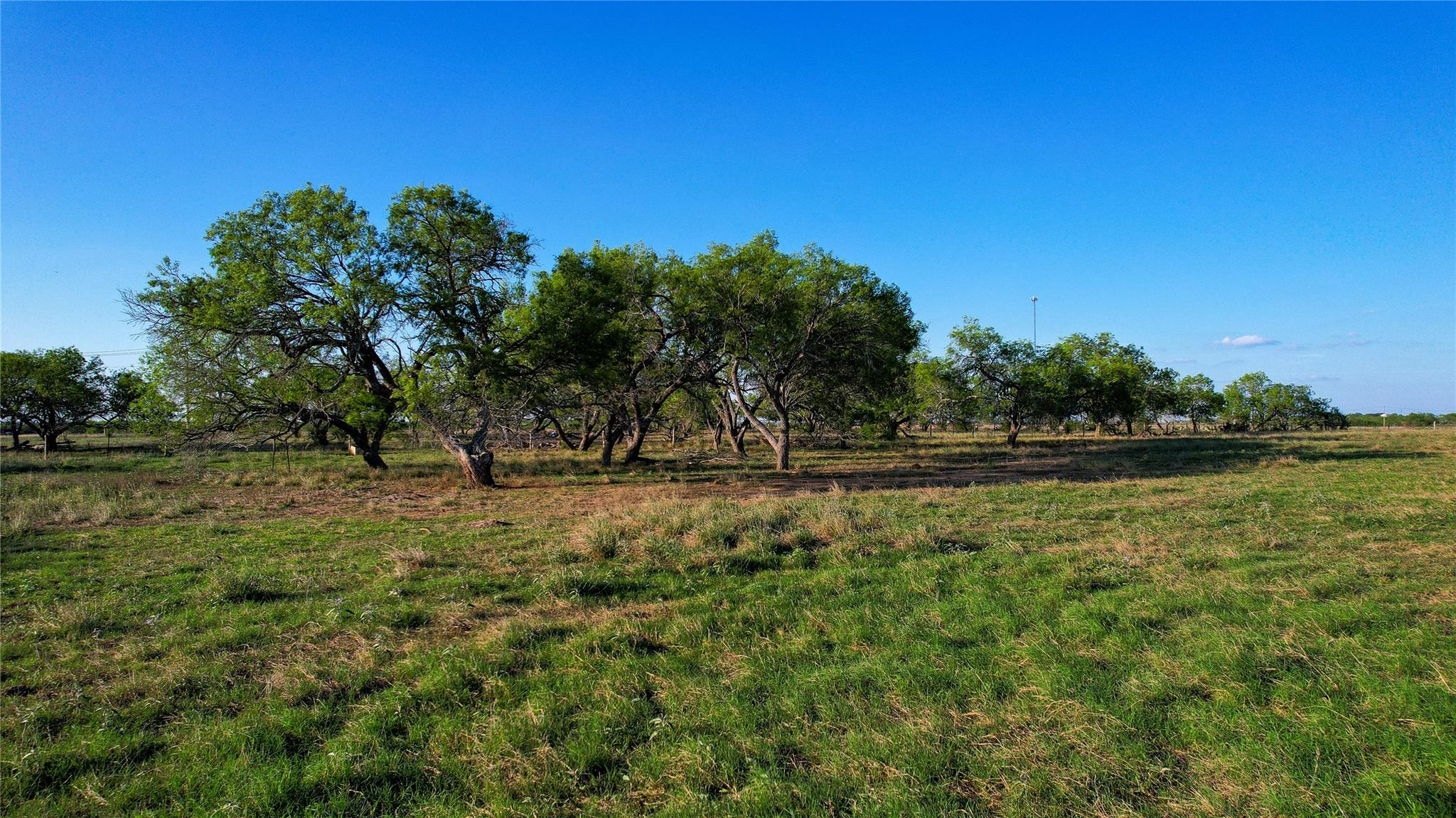 Tract 3 +/- 29 AC E State Highway 87, Nixon, TX 78140