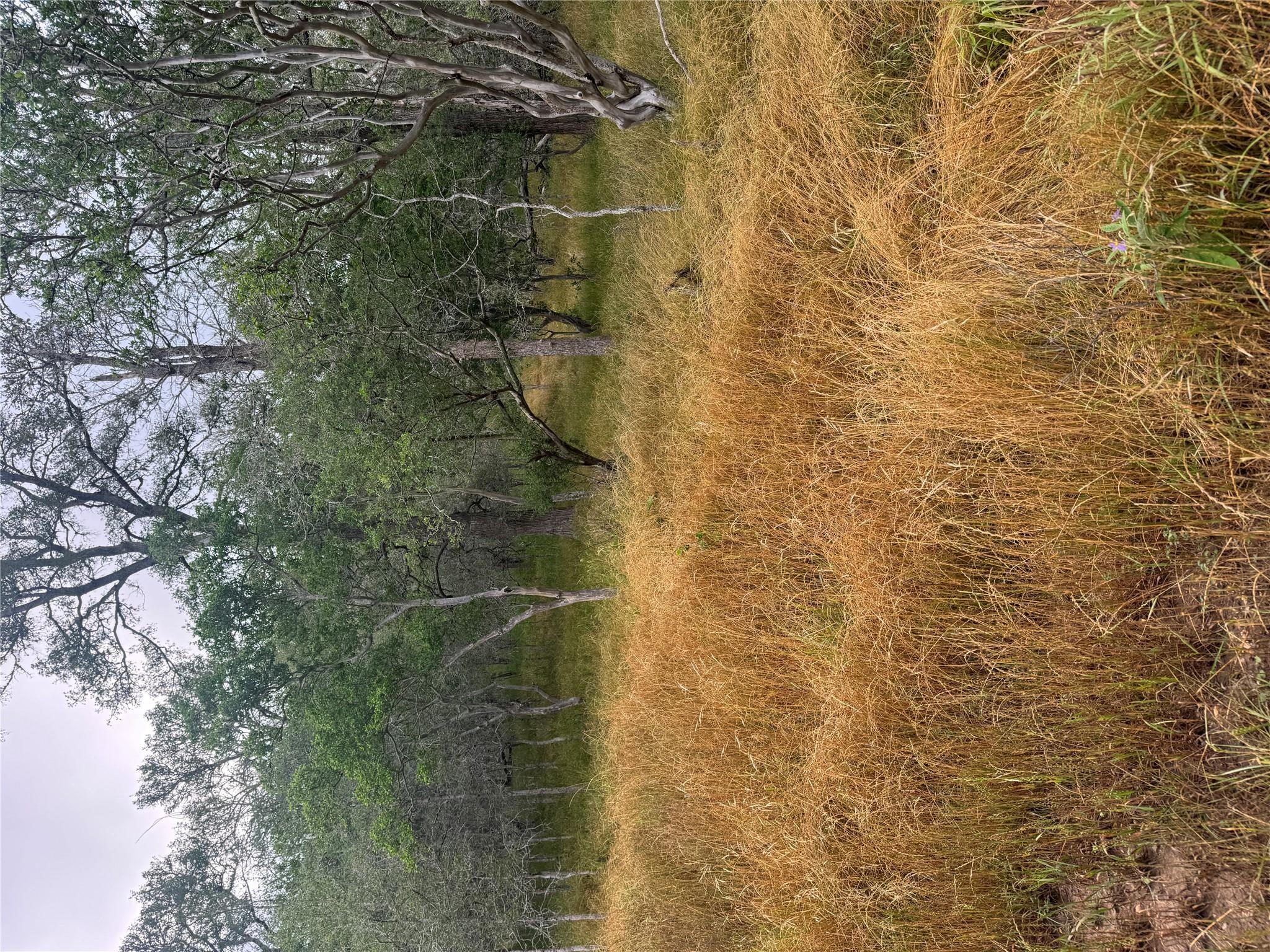 107 Hauula Ct, Bastrop, TX 78602