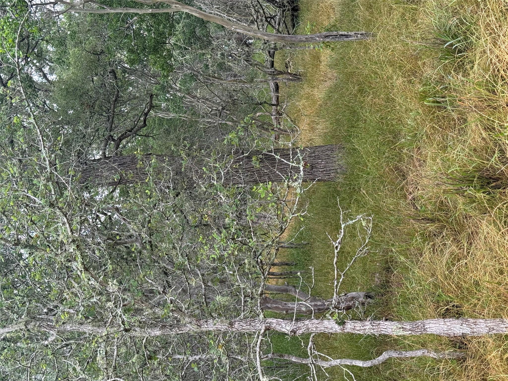 107 Hauula Ct, Bastrop, TX 78602