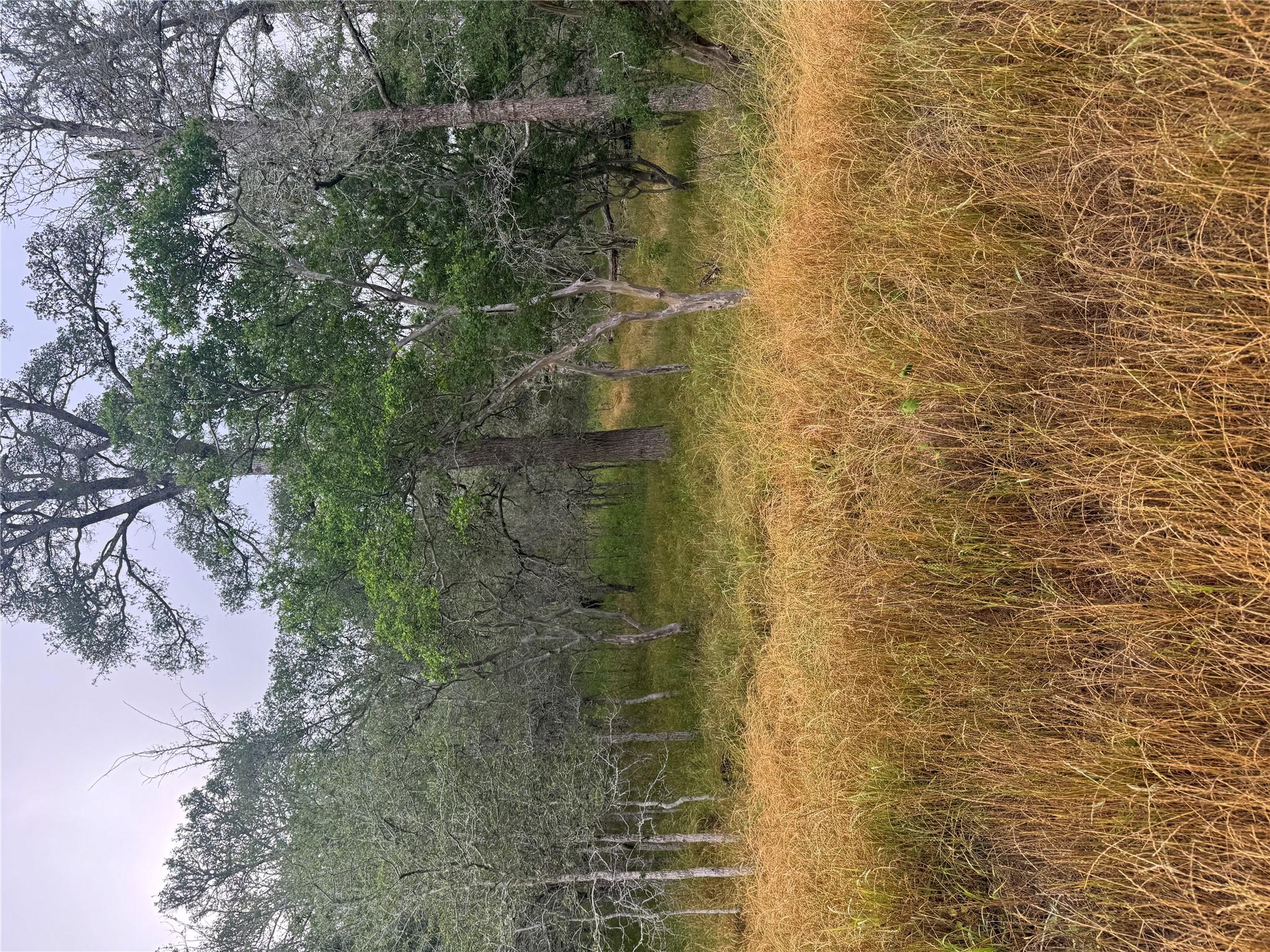 107 Hauula Ct, Bastrop, TX 78602