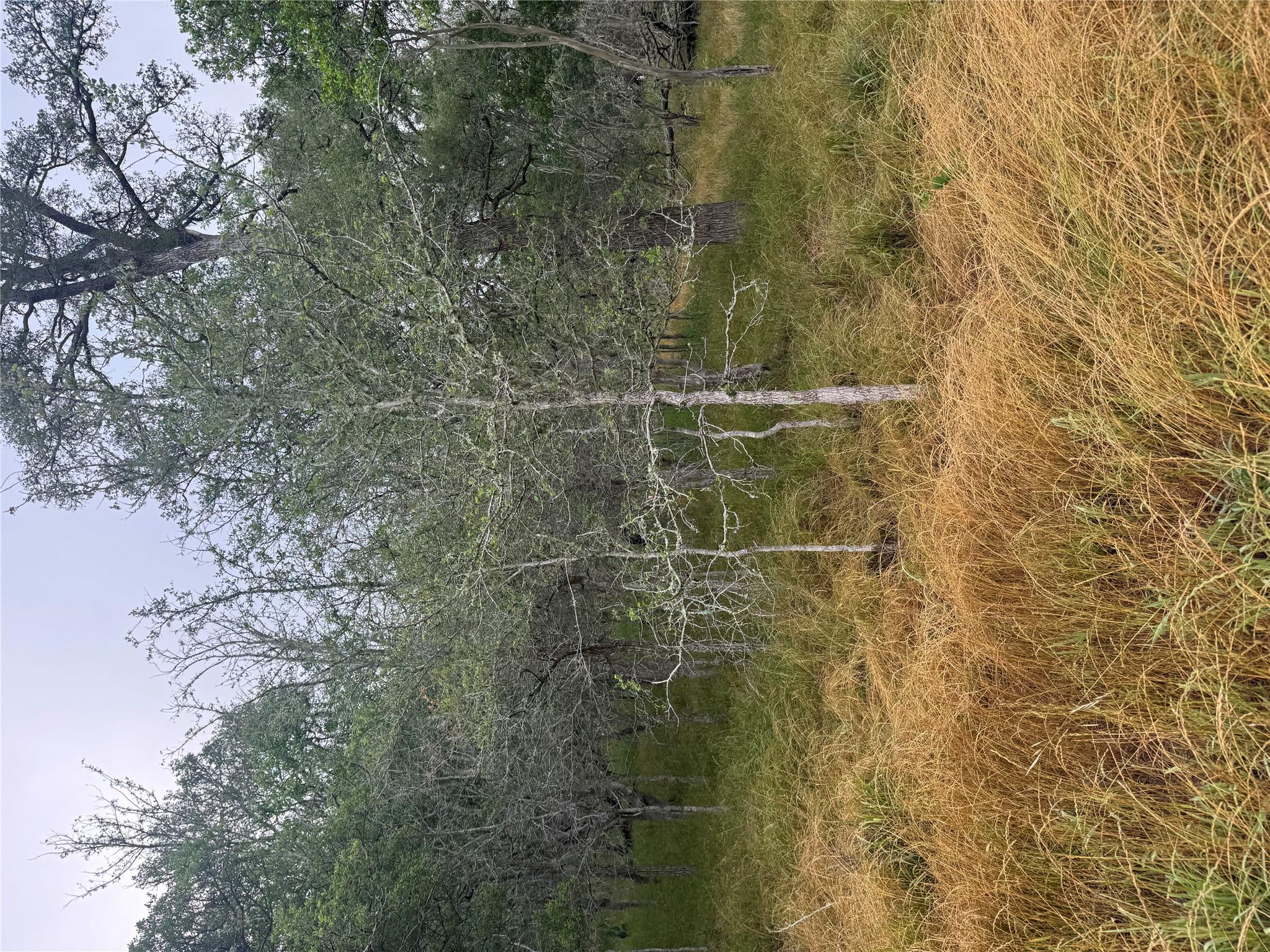 107 Hauula Ct, Bastrop, TX 78602