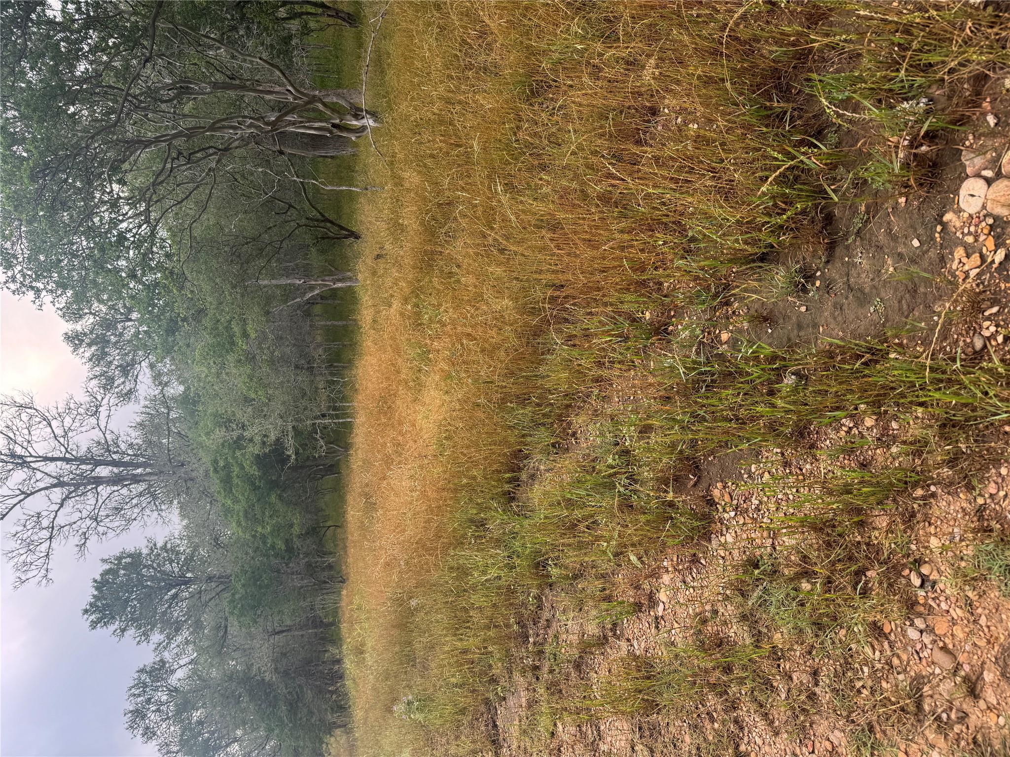 107 Hauula Ct, Bastrop, TX 78602