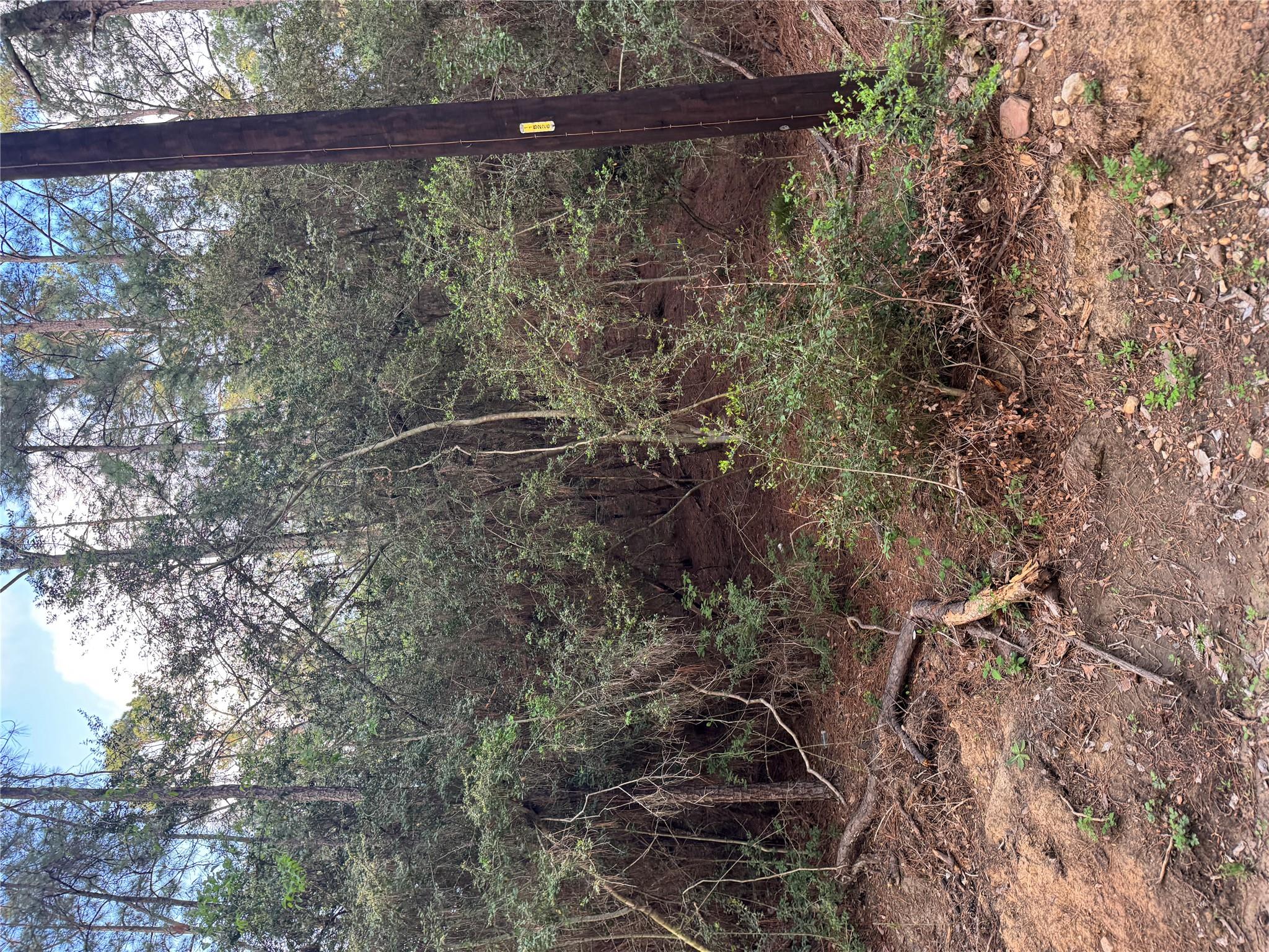 Lots 158 and 159 Hekili Dr, Bastrop, TX 78602