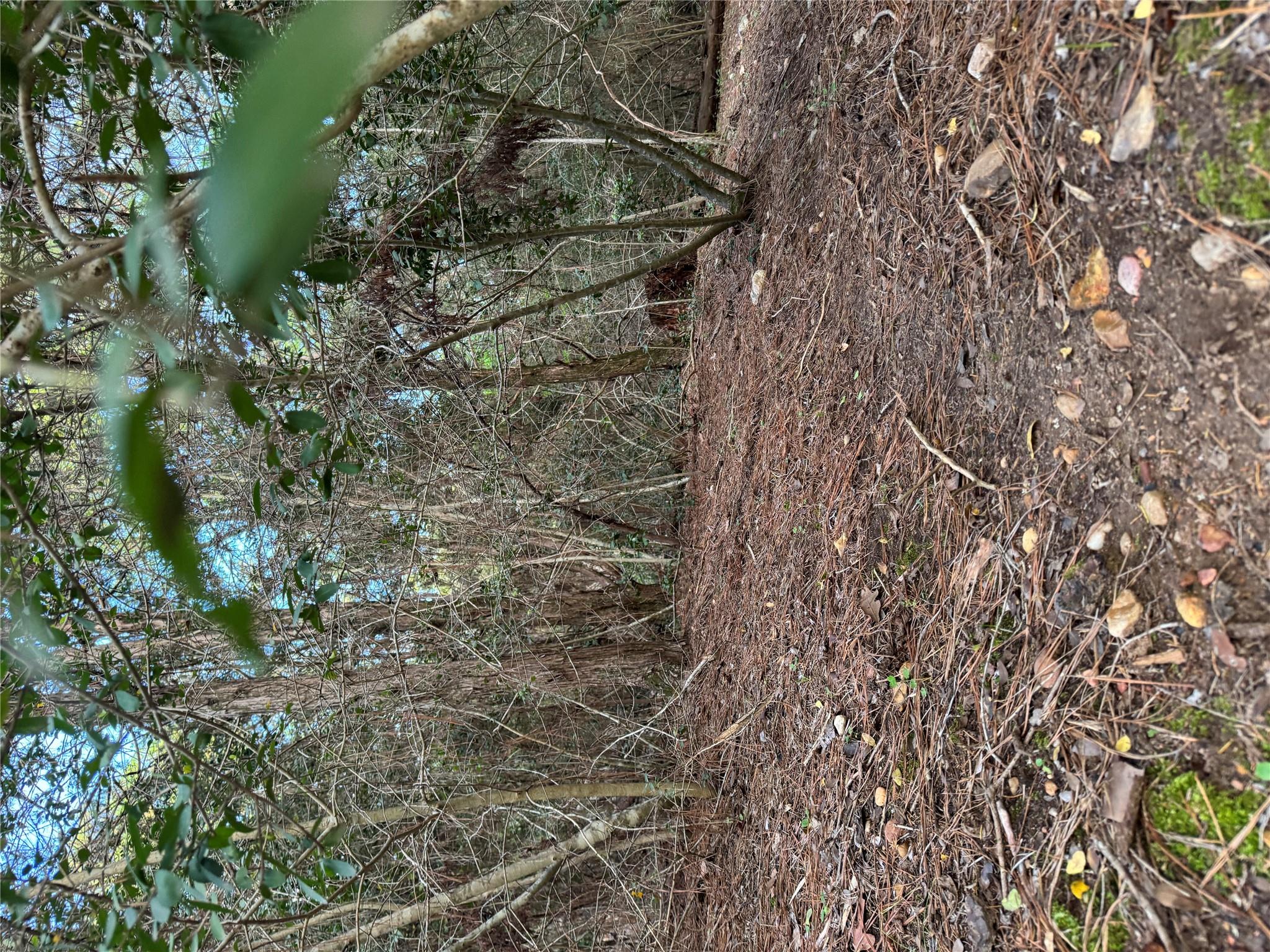 Lots 158 and 159 Hekili Dr, Bastrop, TX 78602