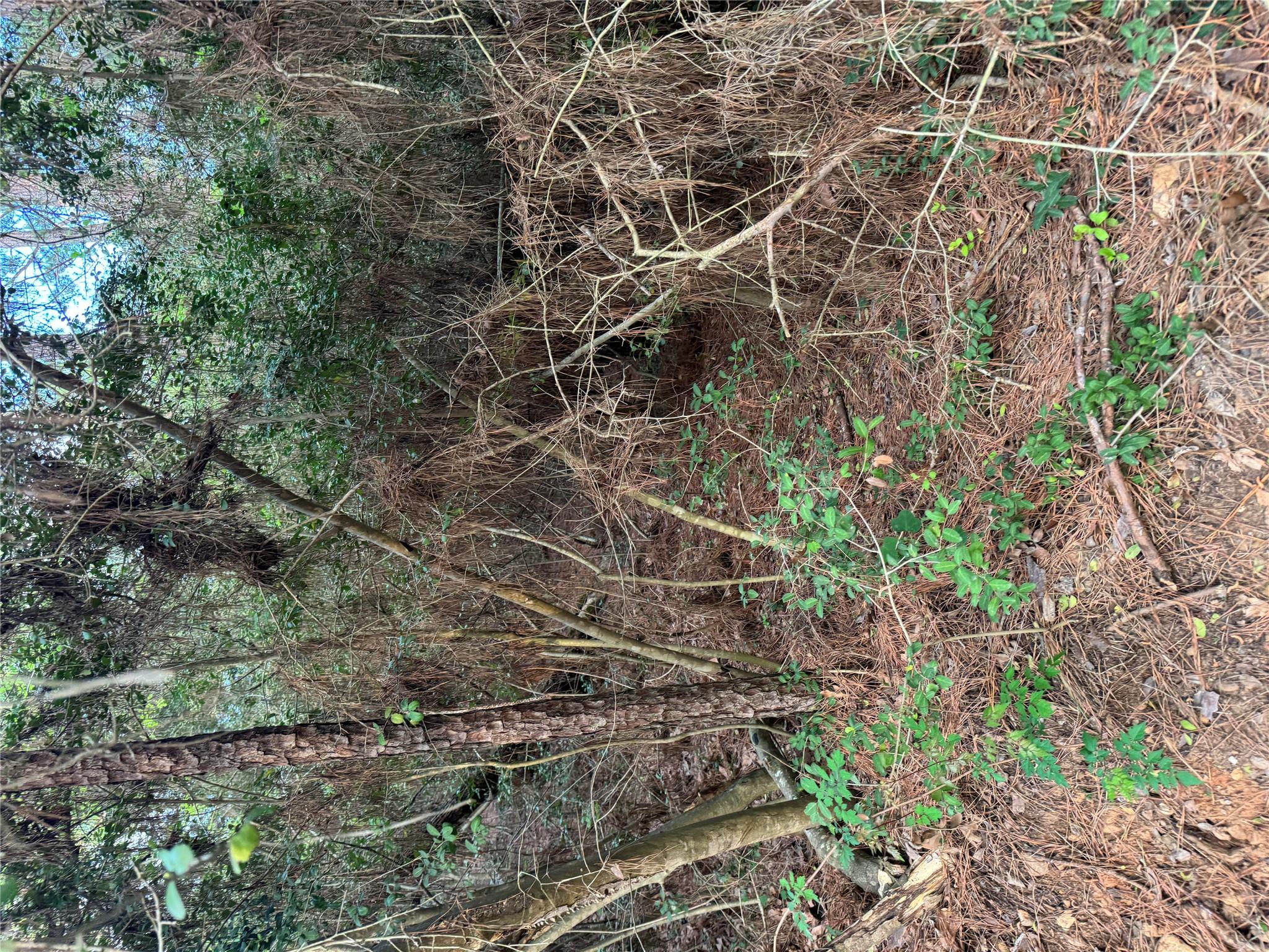 Lots 158 and 159 Hekili Dr, Bastrop, TX 78602